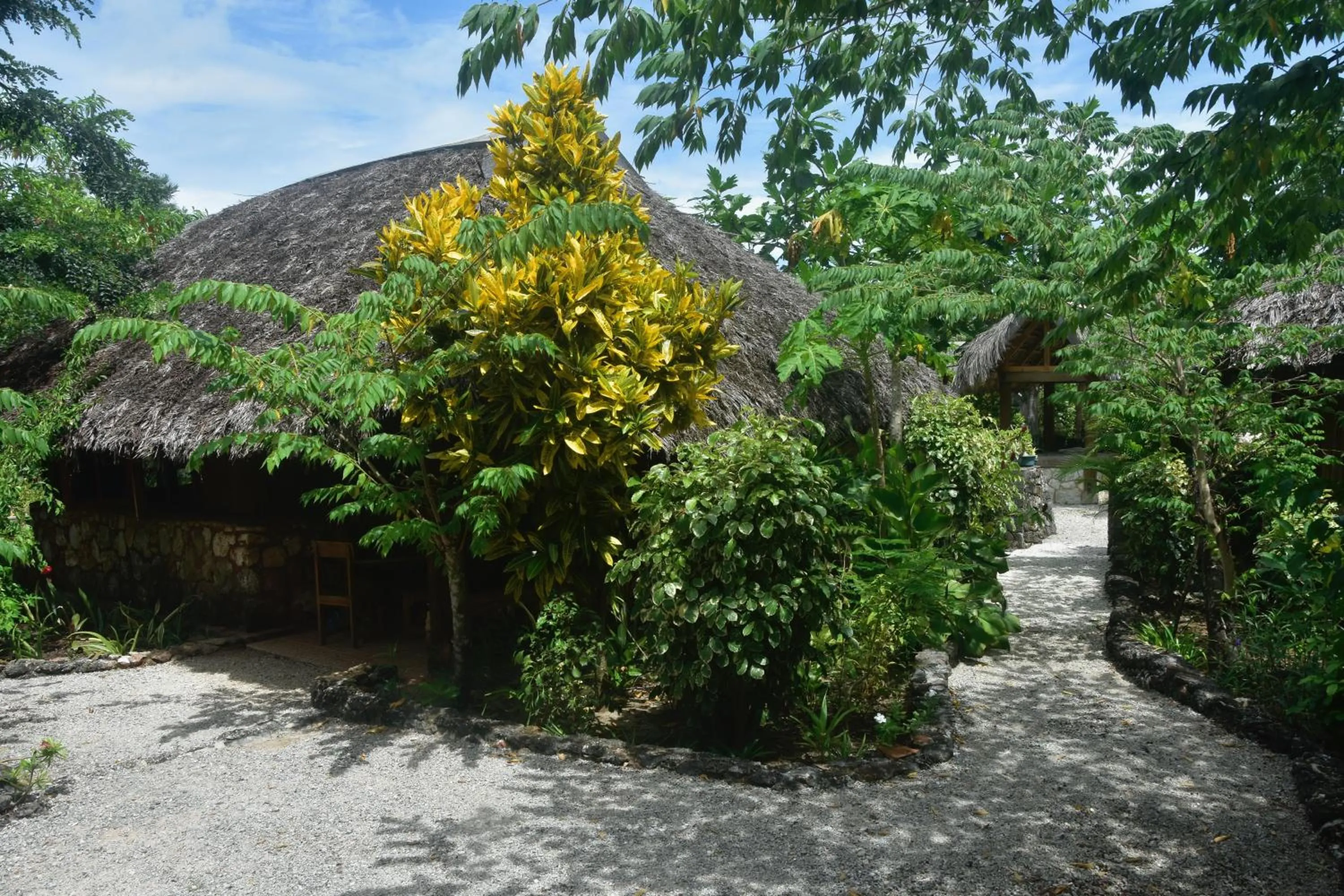 Natural landscape in Rote Surf Resort - Lualemba Bungalows