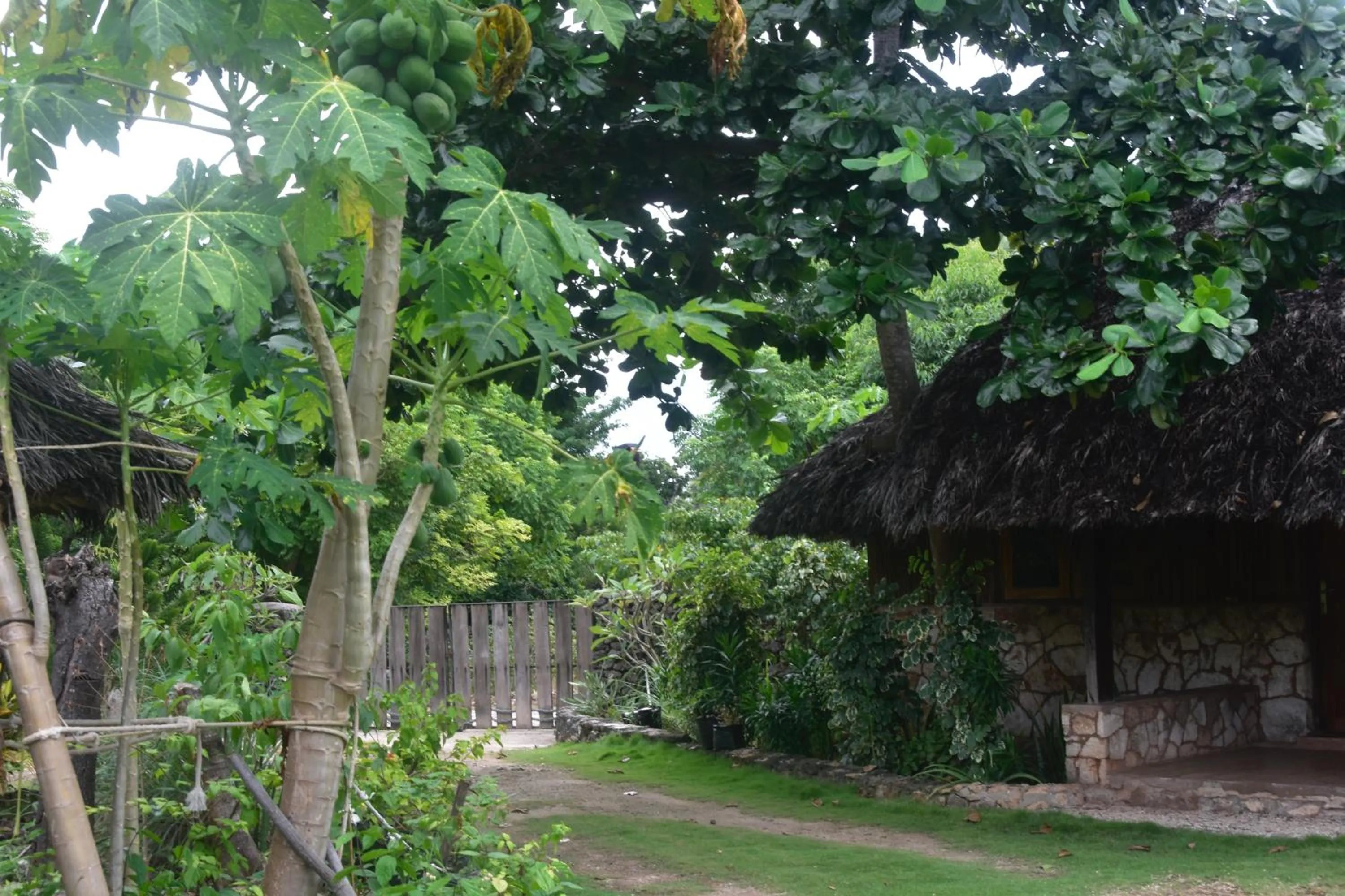 Natural landscape in Rote Surf Resort - Lualemba Bungalows