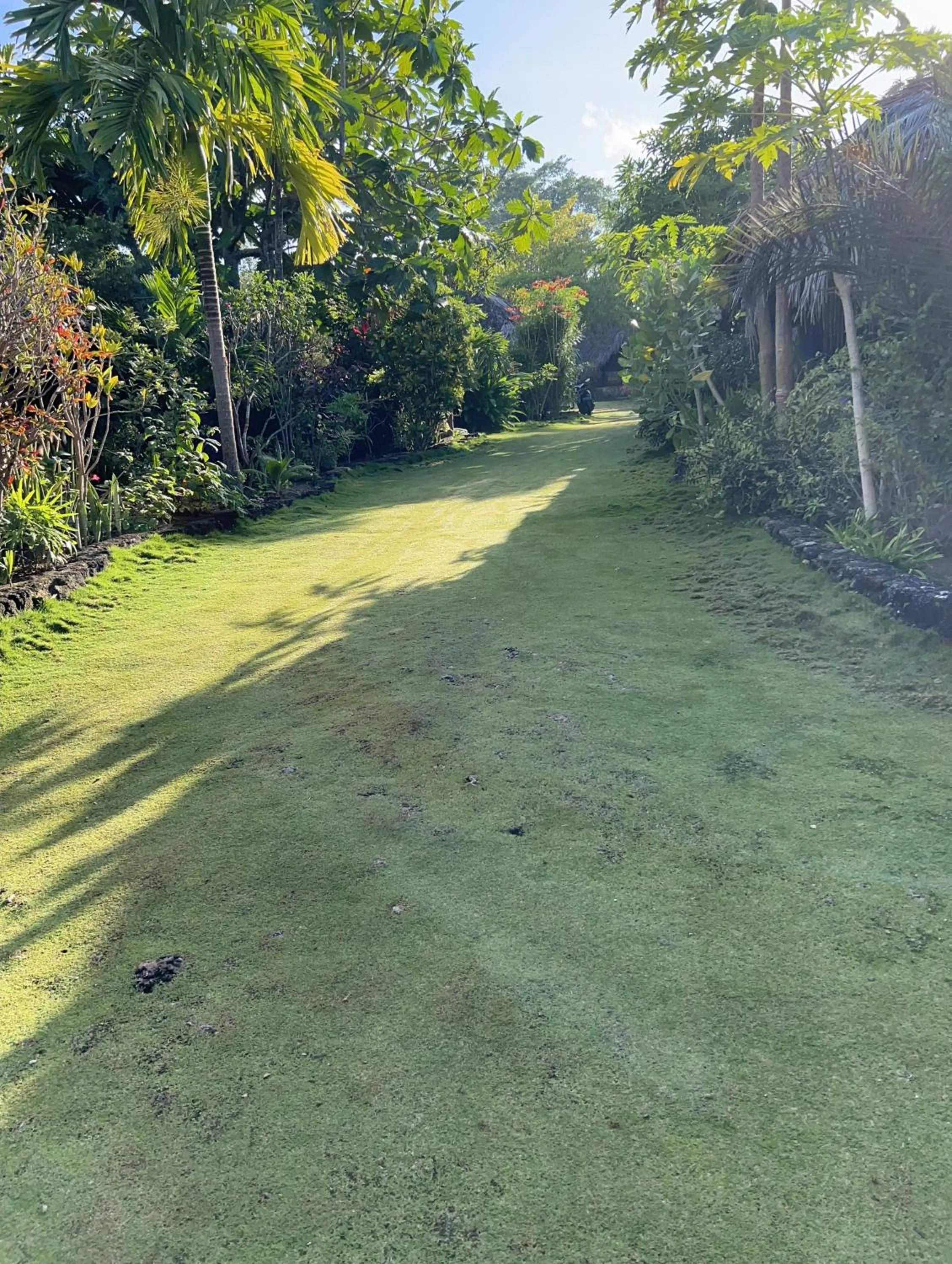 Garden in Rote Surf Resort - Lualemba Bungalows