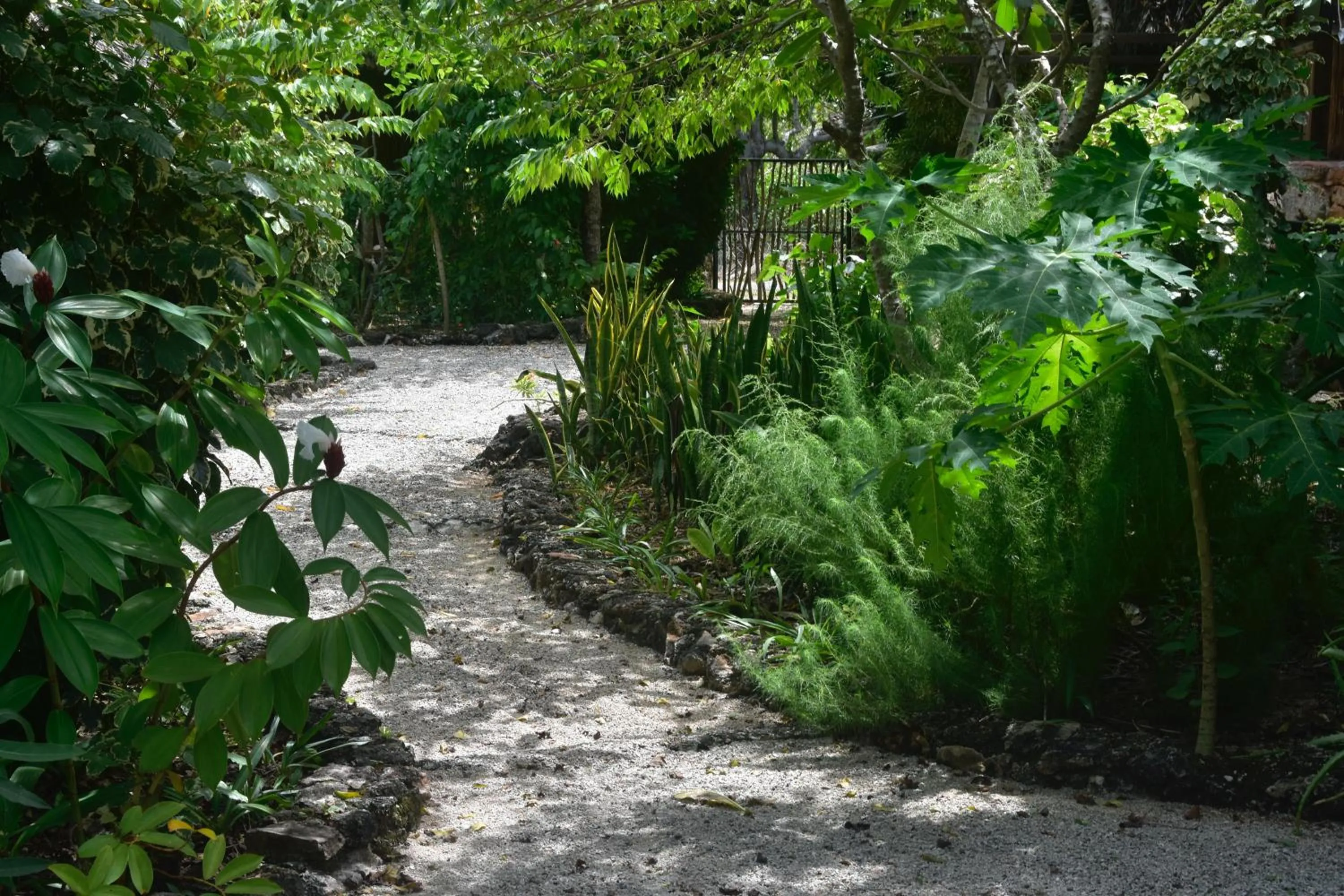 Natural landscape in Rote Surf Resort - Lualemba Bungalows