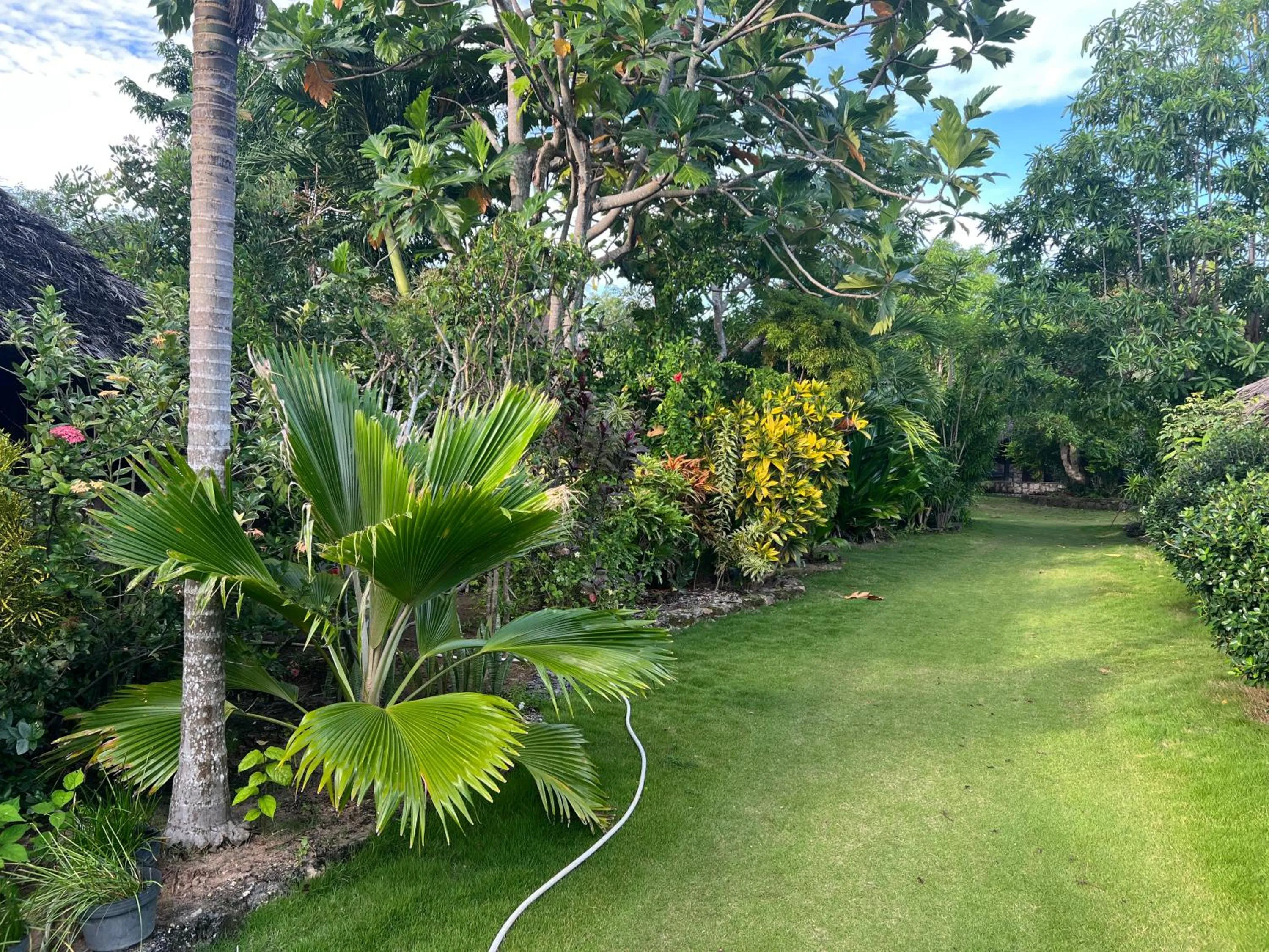 Garden view in Rote Surf Resort - Lualemba Bungalows