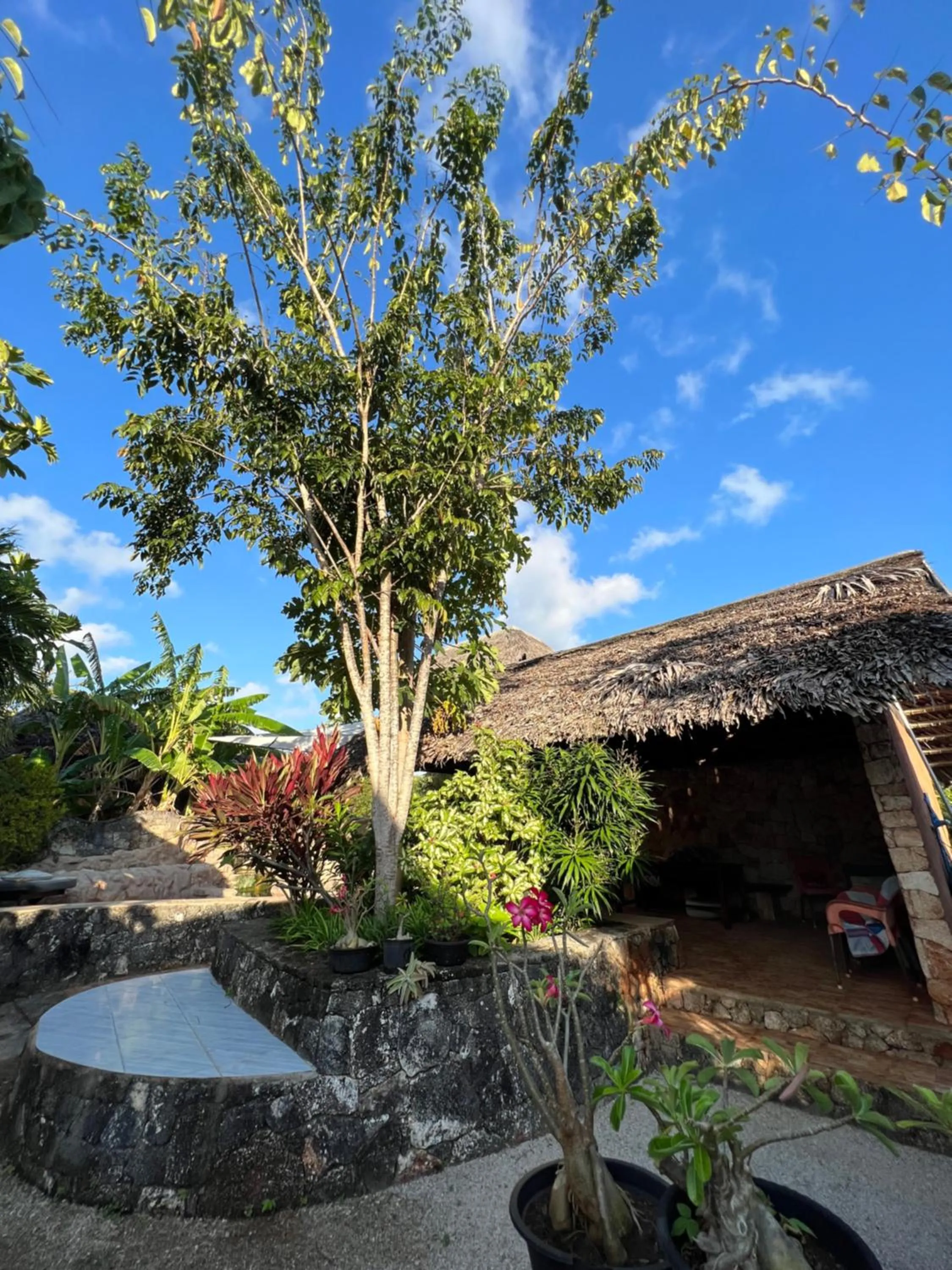 Property building in Rote Surf Resort - Lualemba Bungalows