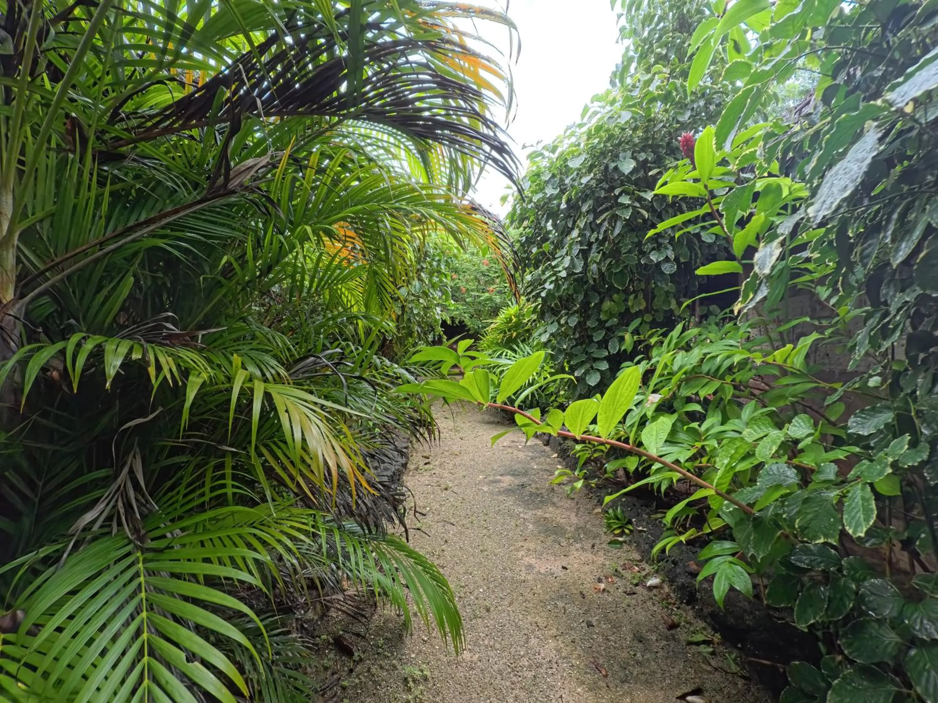 Property building in Rote Surf Resort - Lualemba Bungalows