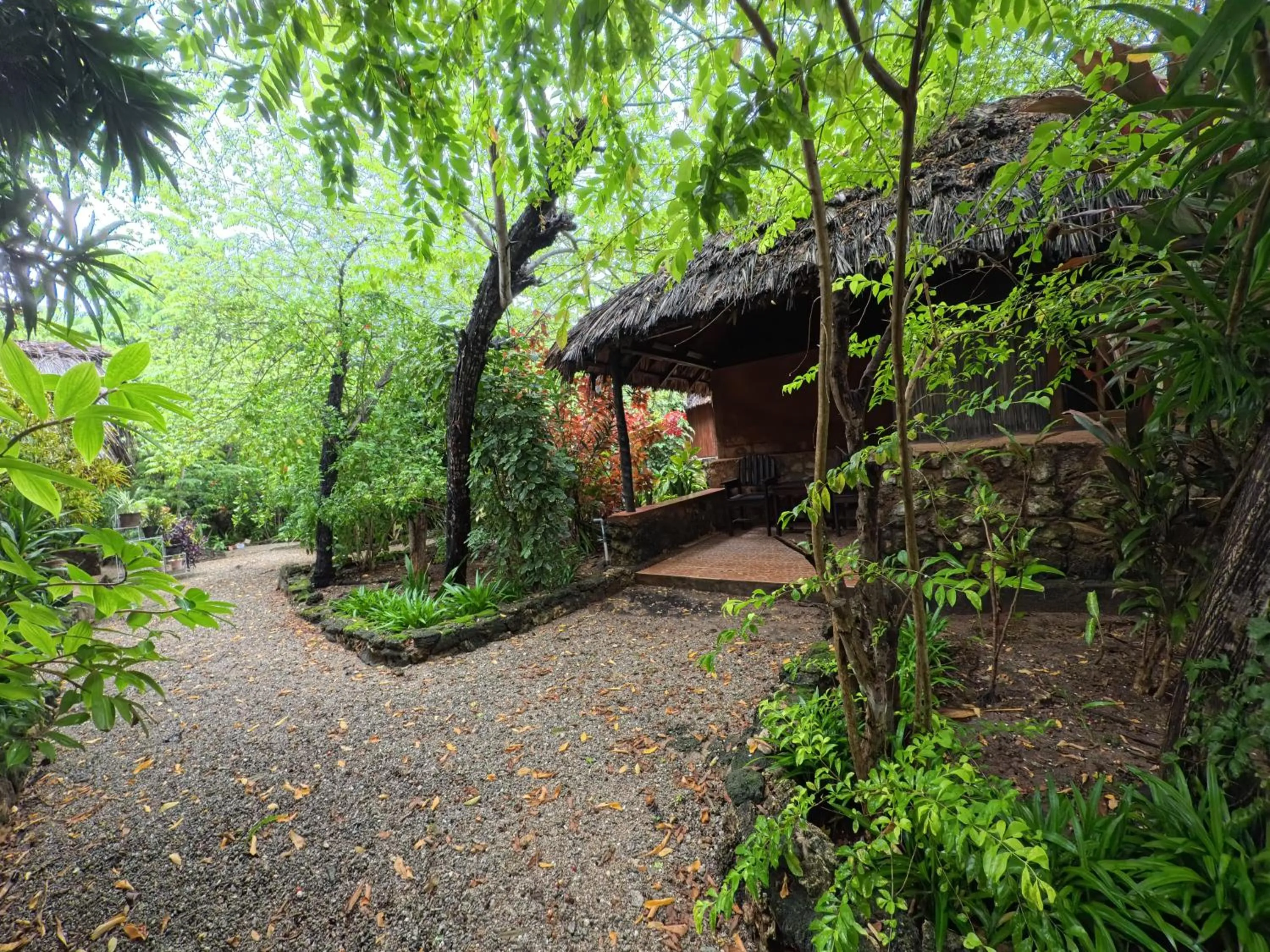 Natural landscape in Rote Surf Resort - Lualemba Bungalows