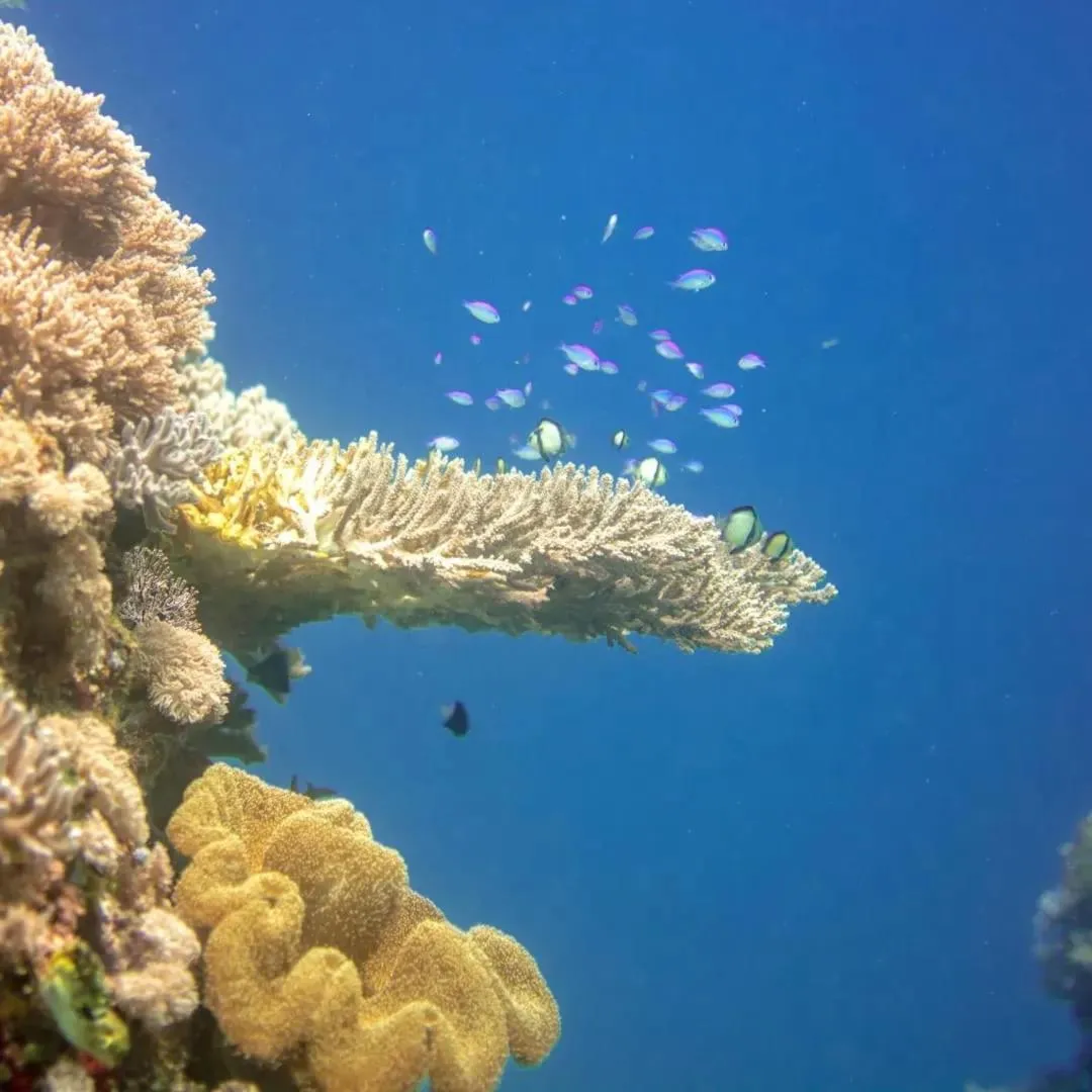 Natural landscape in Rote Surf Resort - Lualemba Bungalows