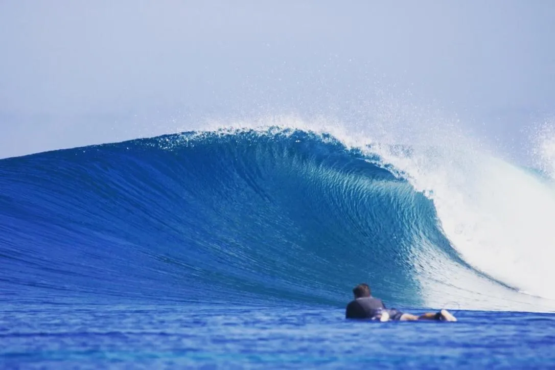Natural landscape in Rote Surf Resort - Lualemba Bungalows