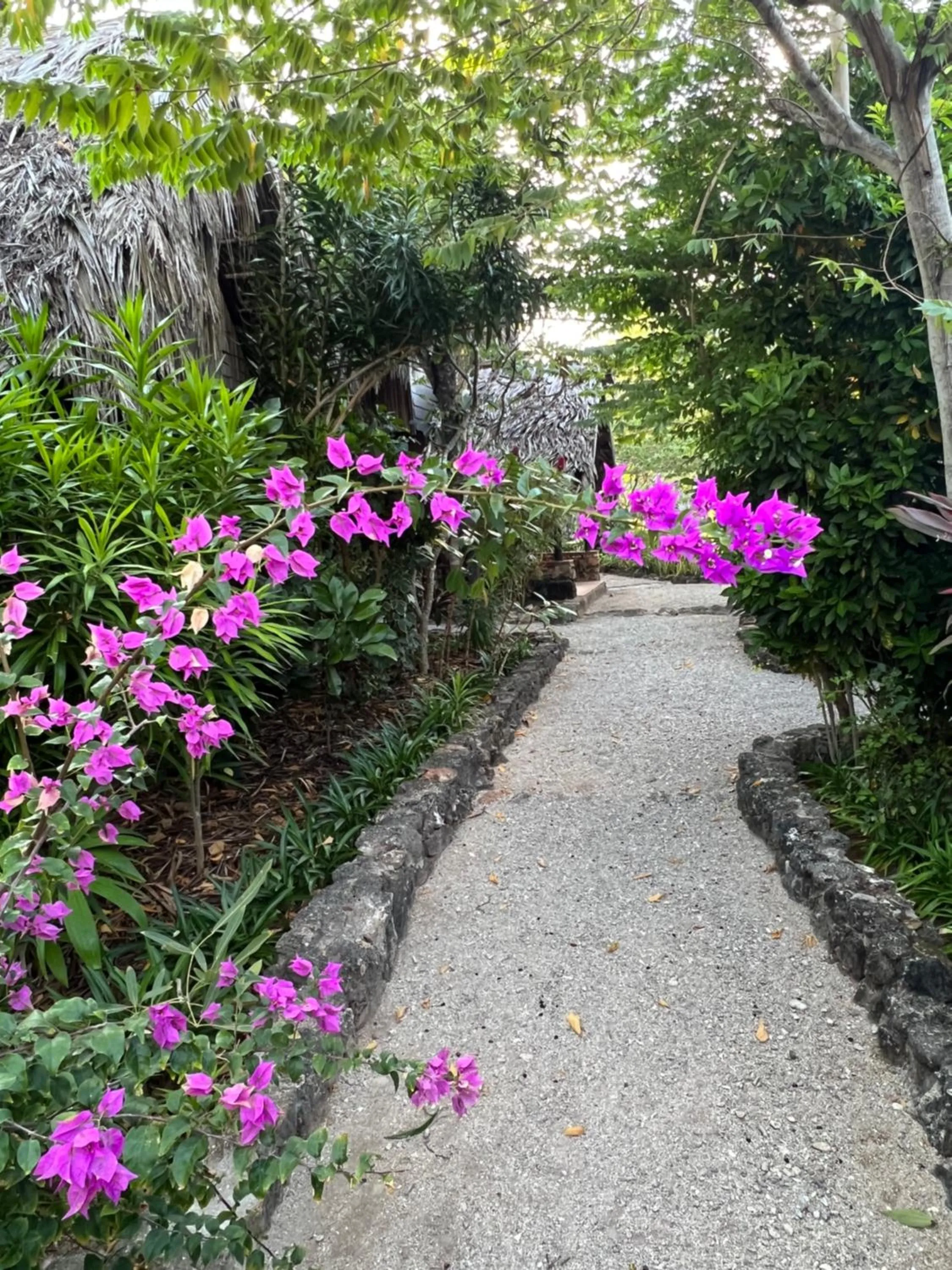 Natural landscape in Rote Surf Resort - Lualemba Bungalows