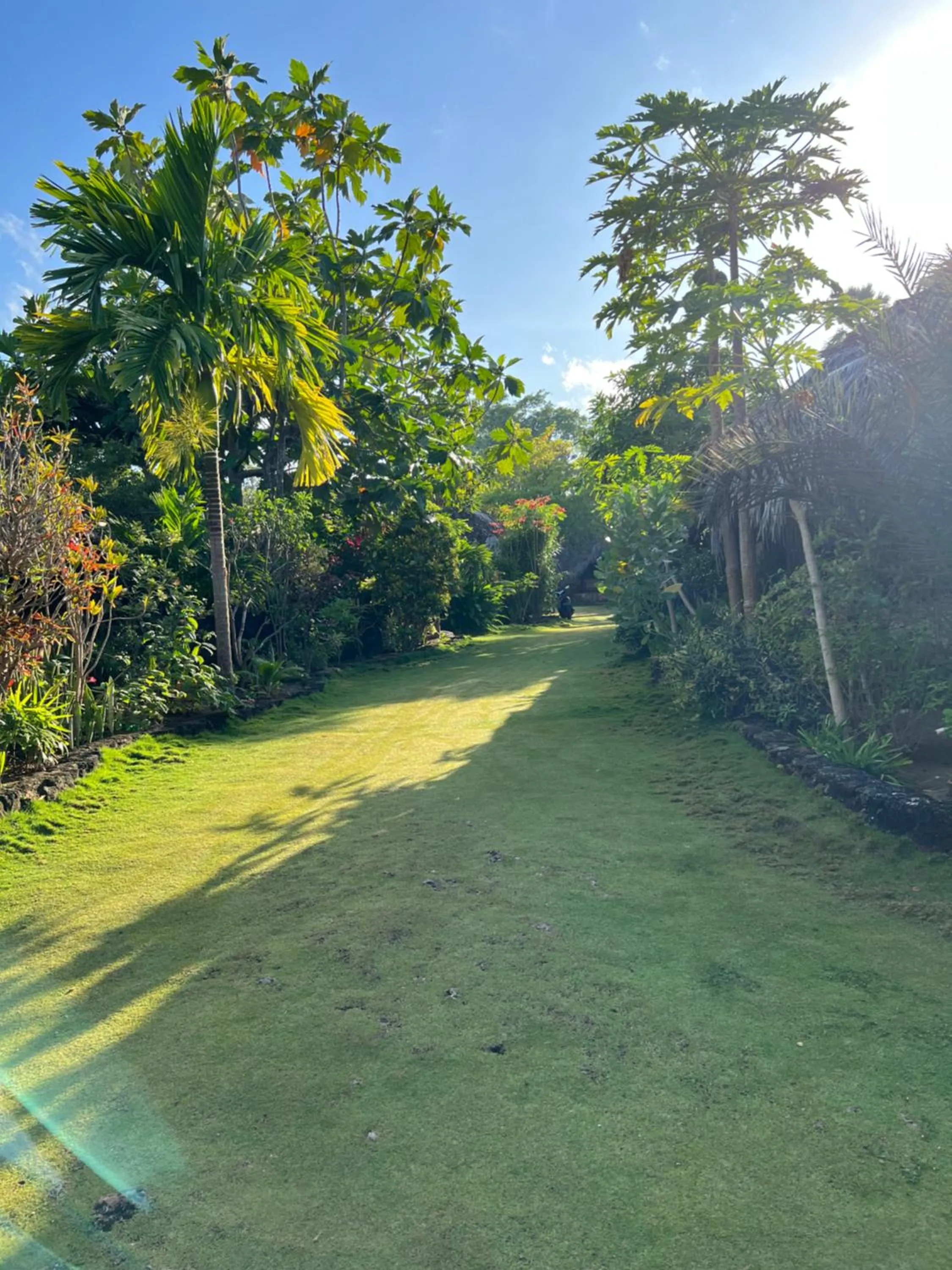 Garden in Rote Surf Resort - Lualemba Bungalows