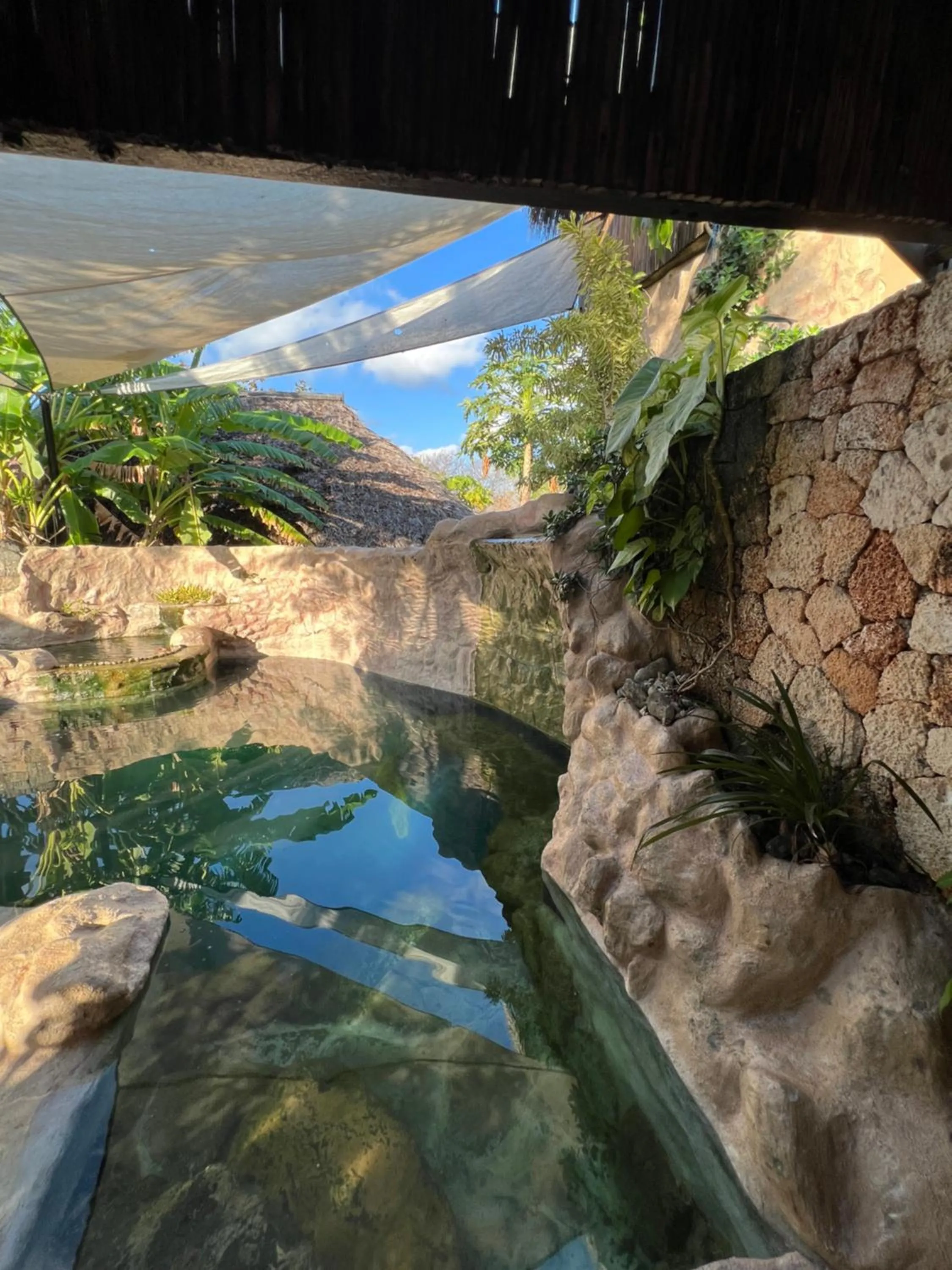 Pool view in Rote Surf Resort - Lualemba Bungalows