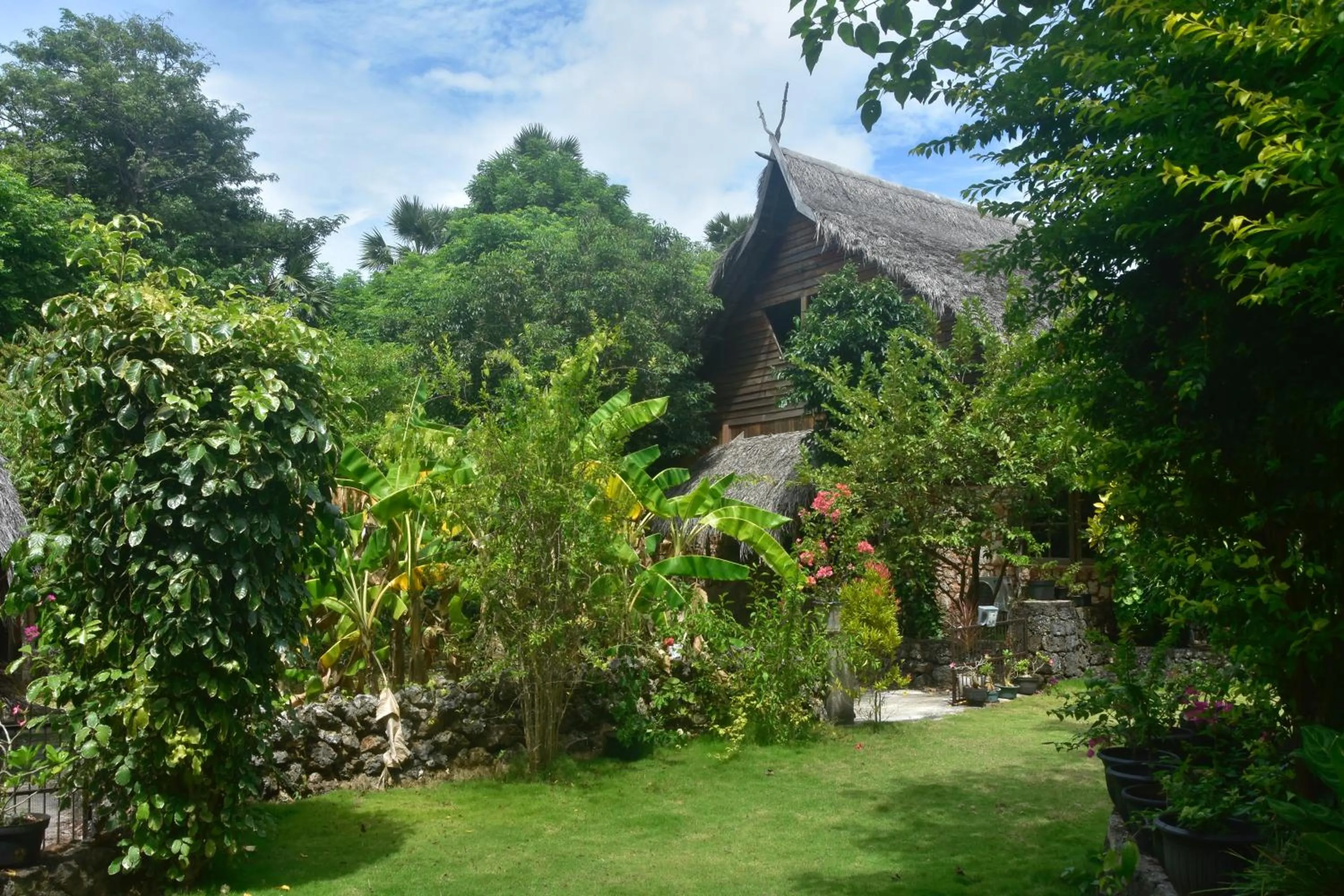 Natural landscape in Rote Surf Resort - Lualemba Bungalows