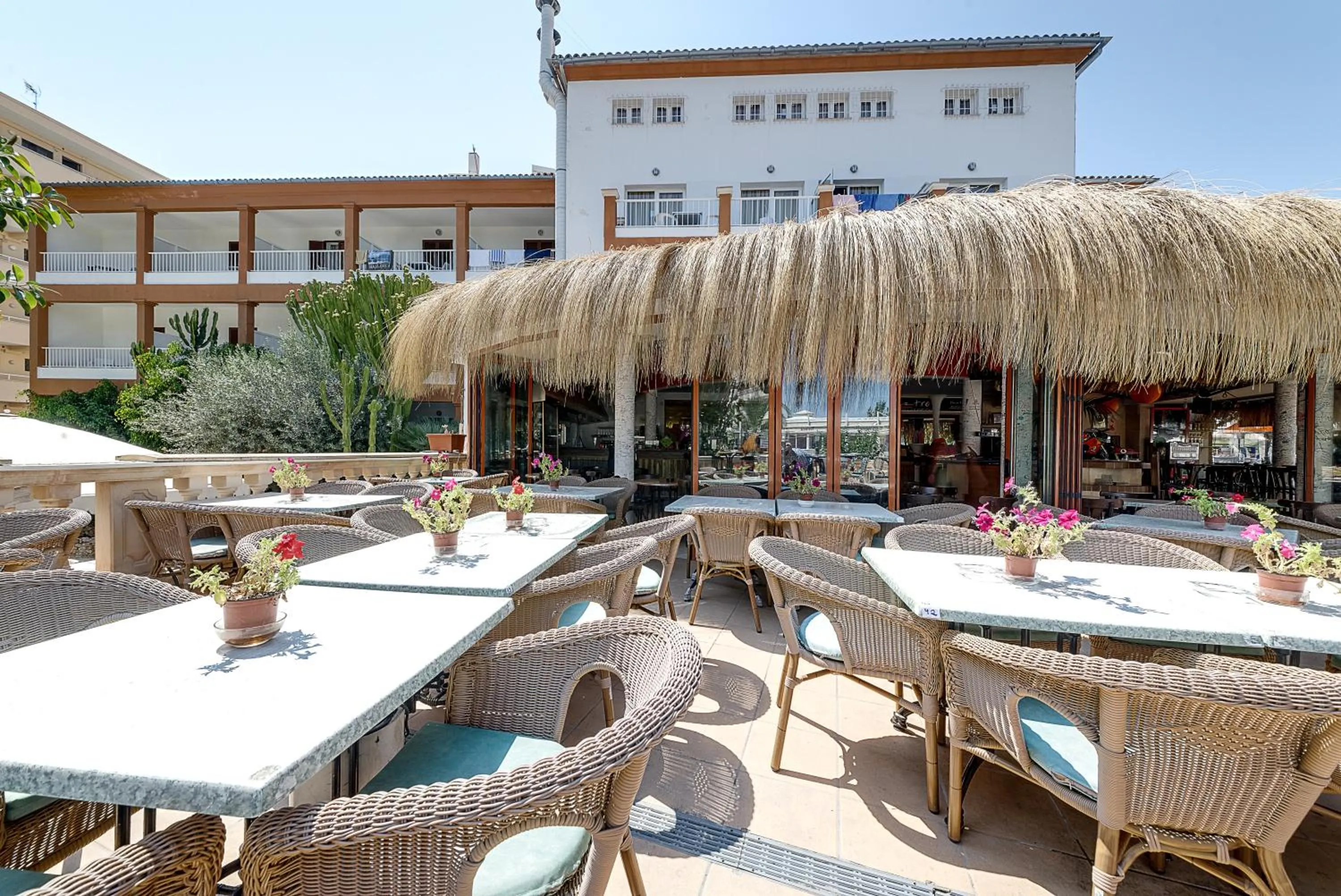 Drinks in Hotel Playas de Paguera