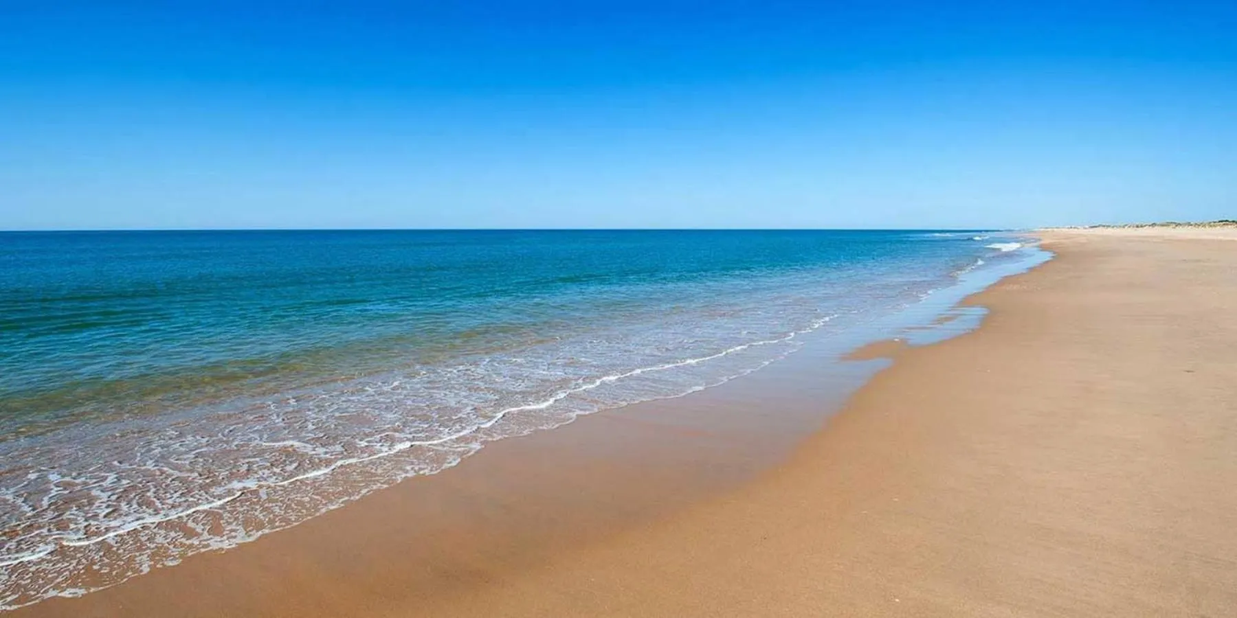 Natural landscape in Leo Canela