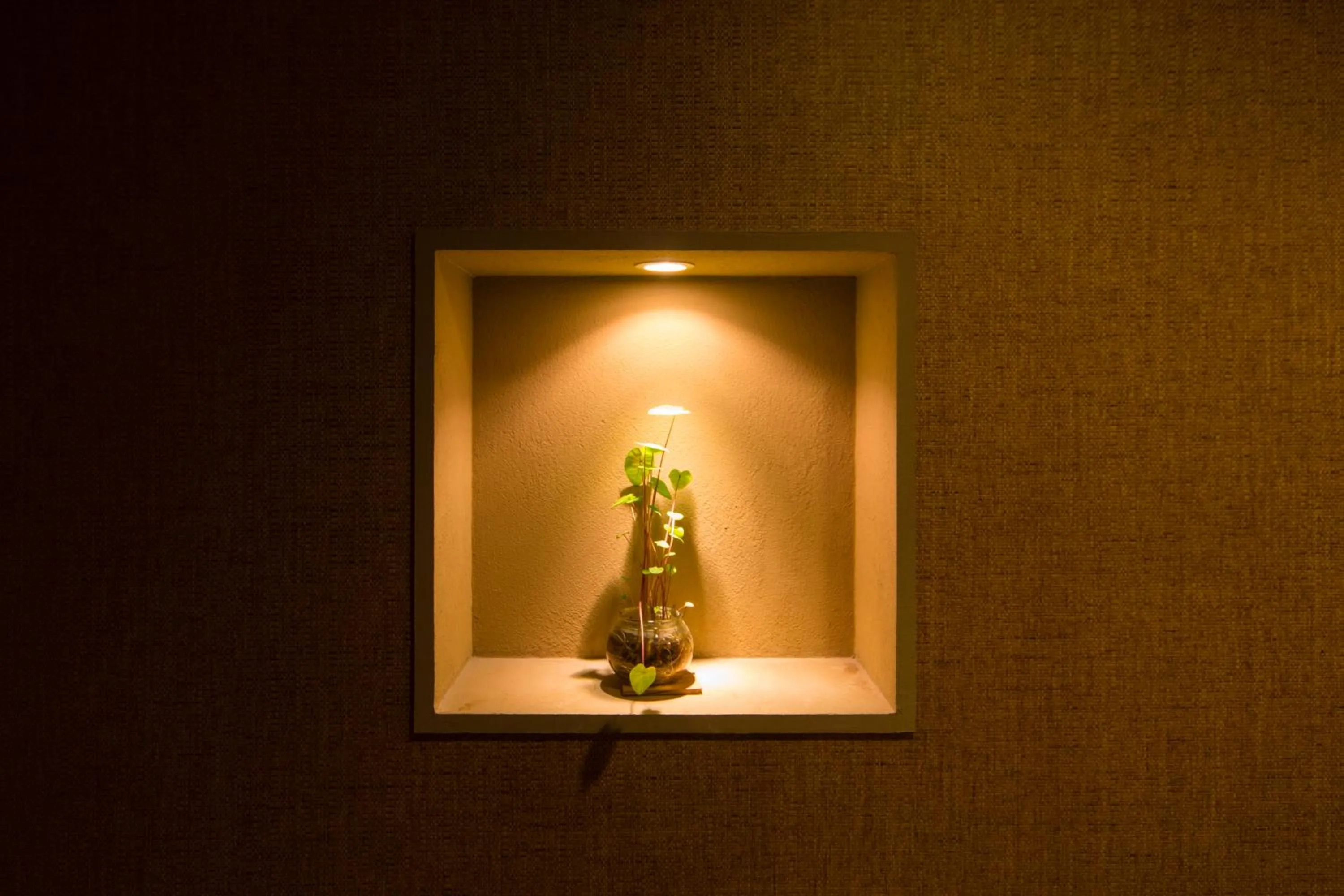 Area and facilities in Yukyo no Hibiki Yusai