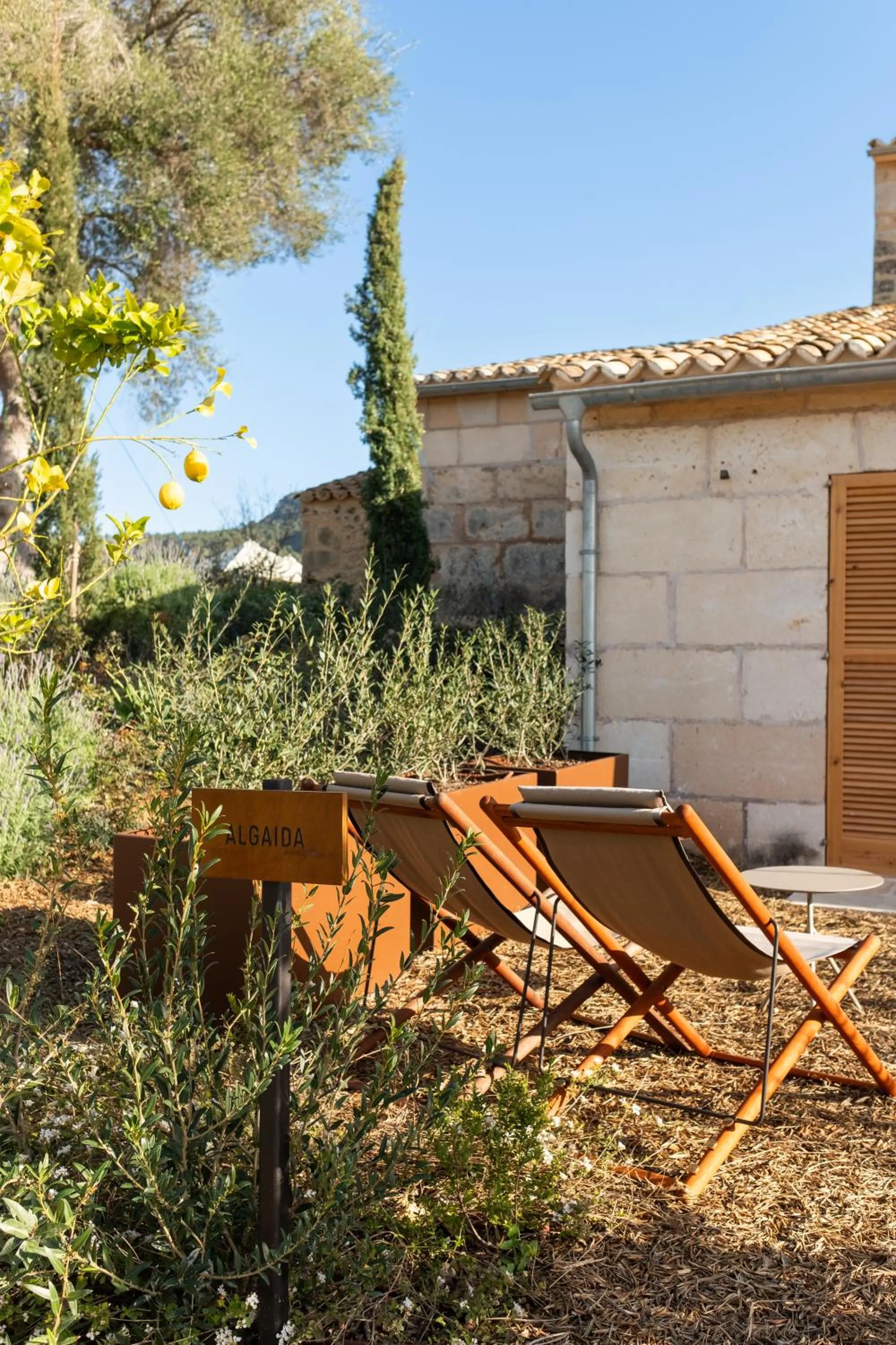 Garden in Fincahotel Treurer - Olive Grove & Grand House - Adults Only