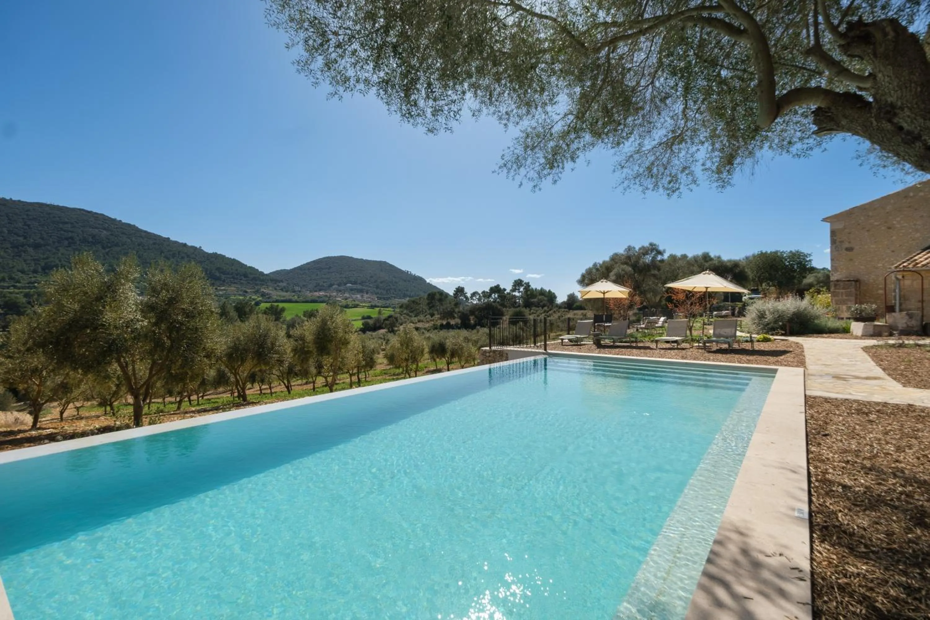 Natural landscape in Fincahotel Treurer - Olive Grove & Grand House - Adults Only