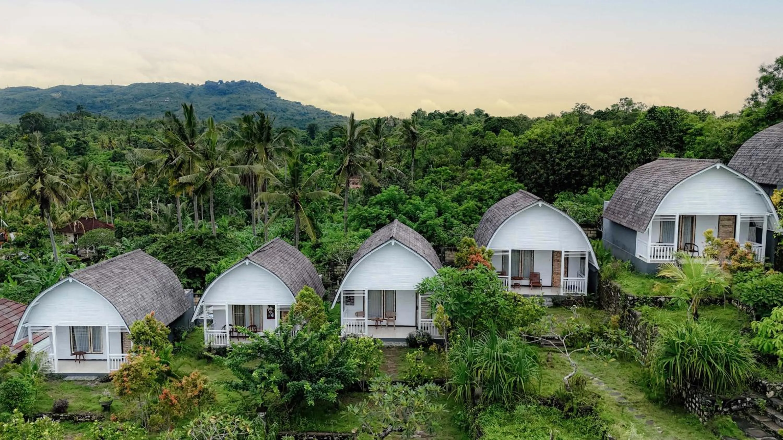 Deluxe Double Room in The Kleep Jungle Resort