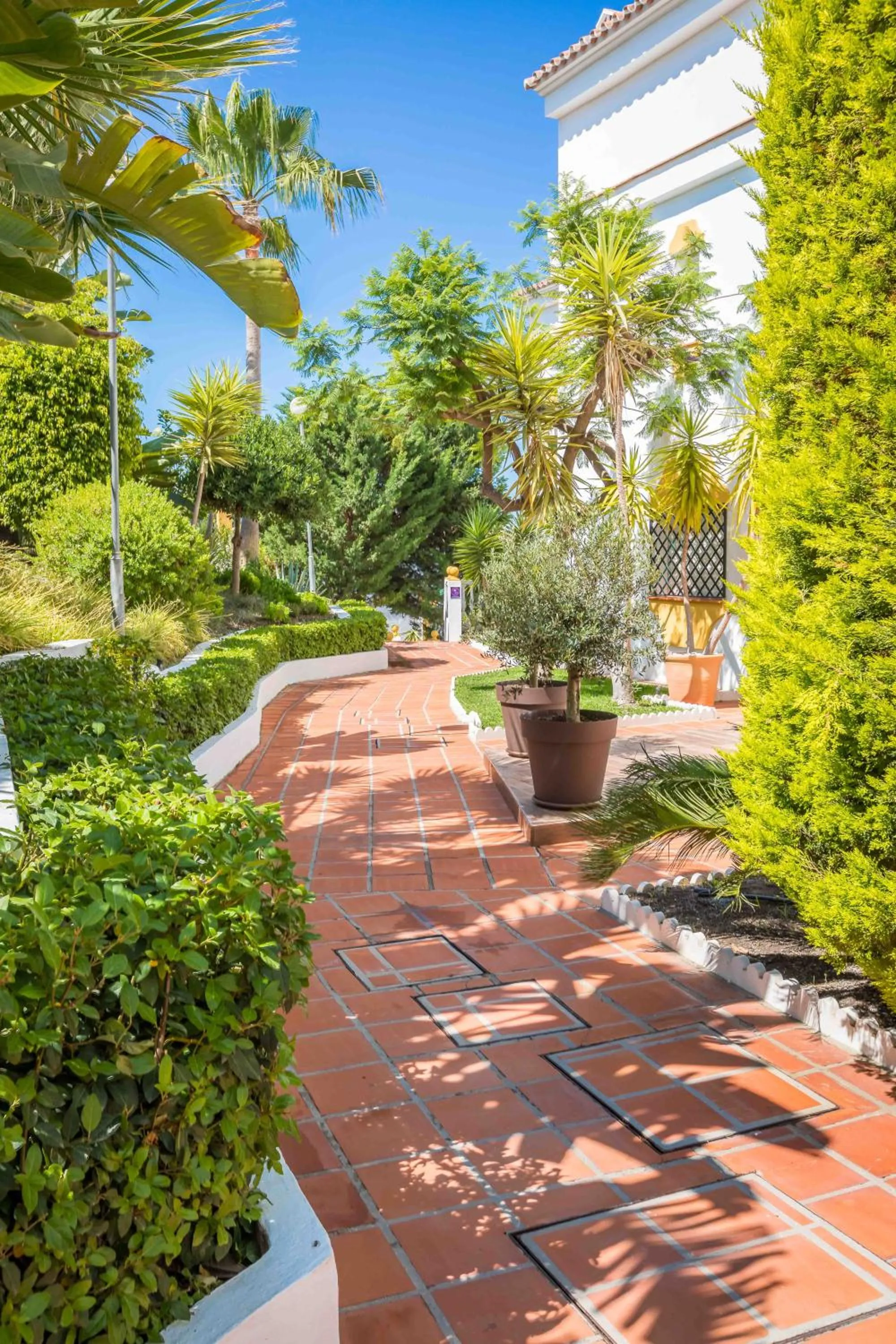 Patio in Apartamentos Las Rosas de Capistrano