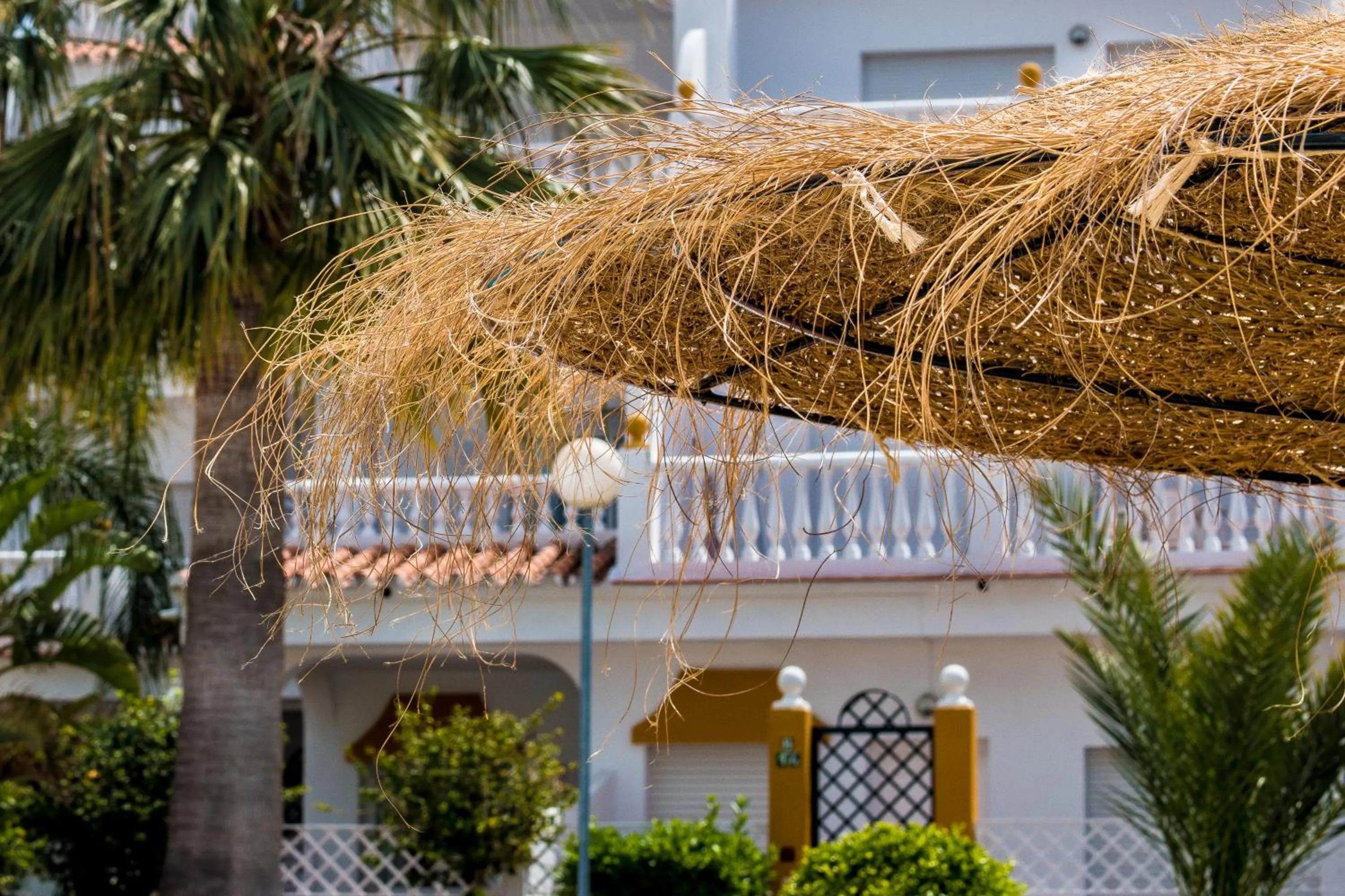 Other in Apartamentos Las Rosas de Capistrano