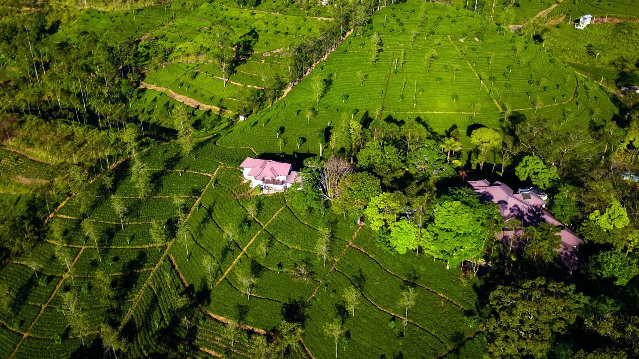 Natural landscape in Grand Argyle Resort