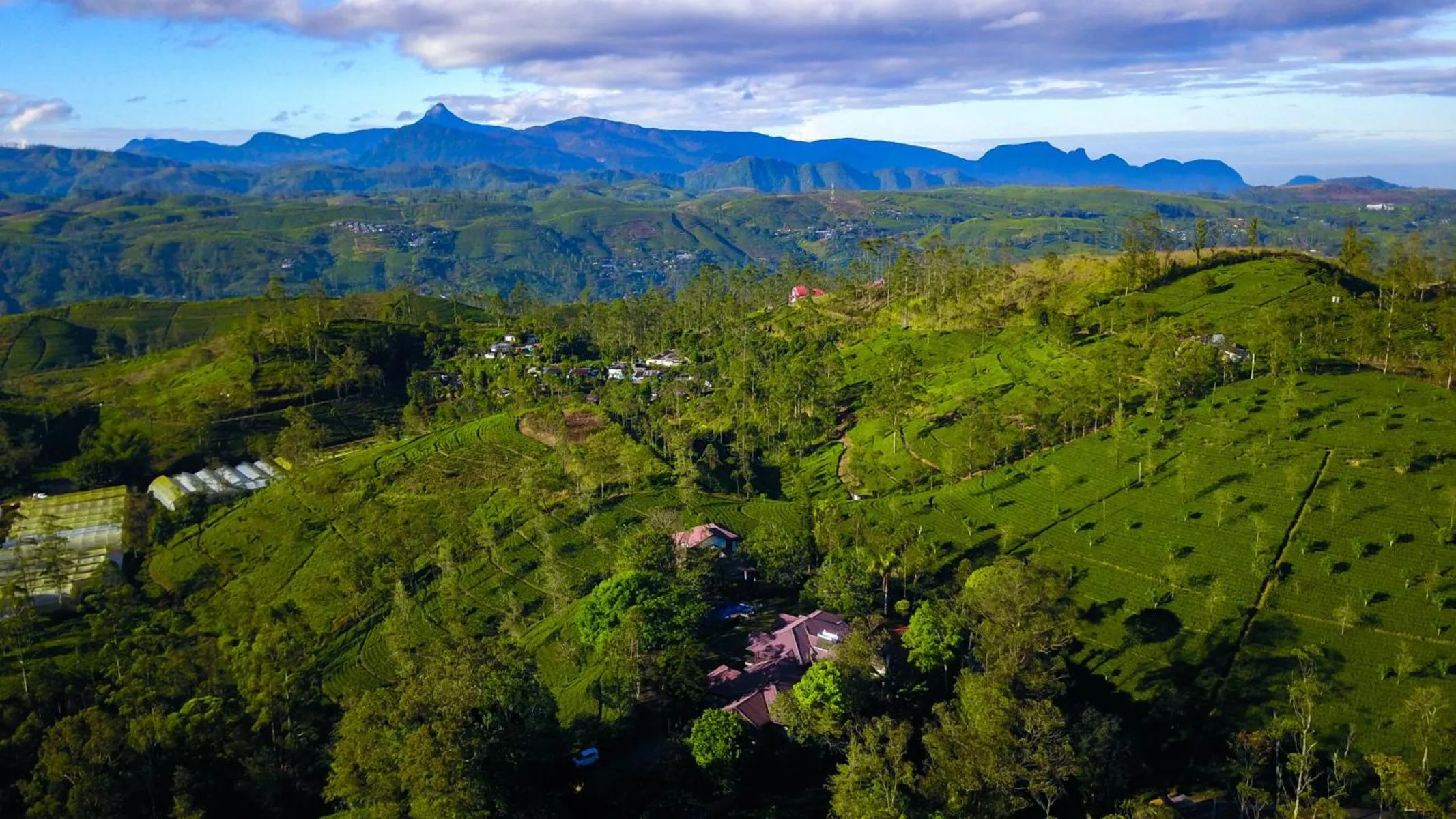 Bird's eye view in Grand Argyle Resort
