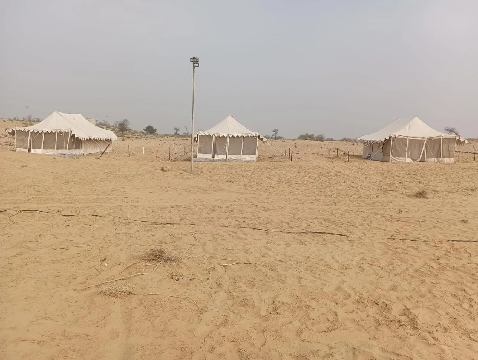 Day in Bikaner Desert Camp and Resort