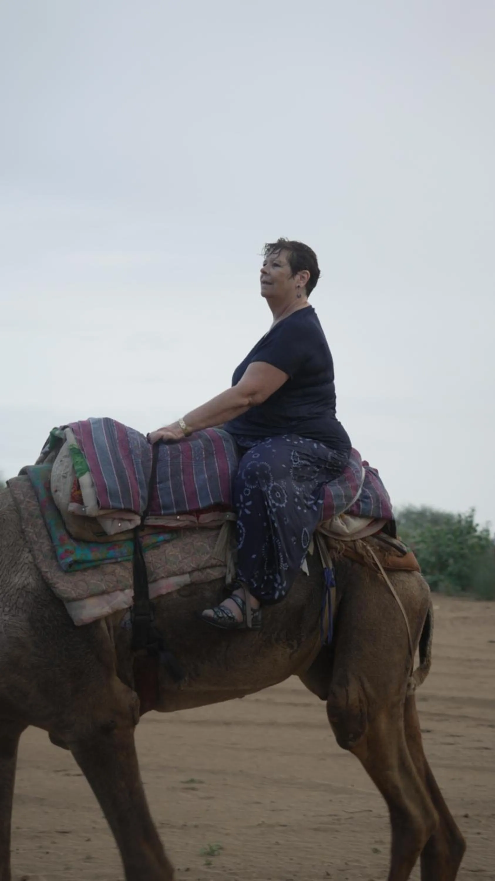 Day in Bikaner Desert Camp and Resort