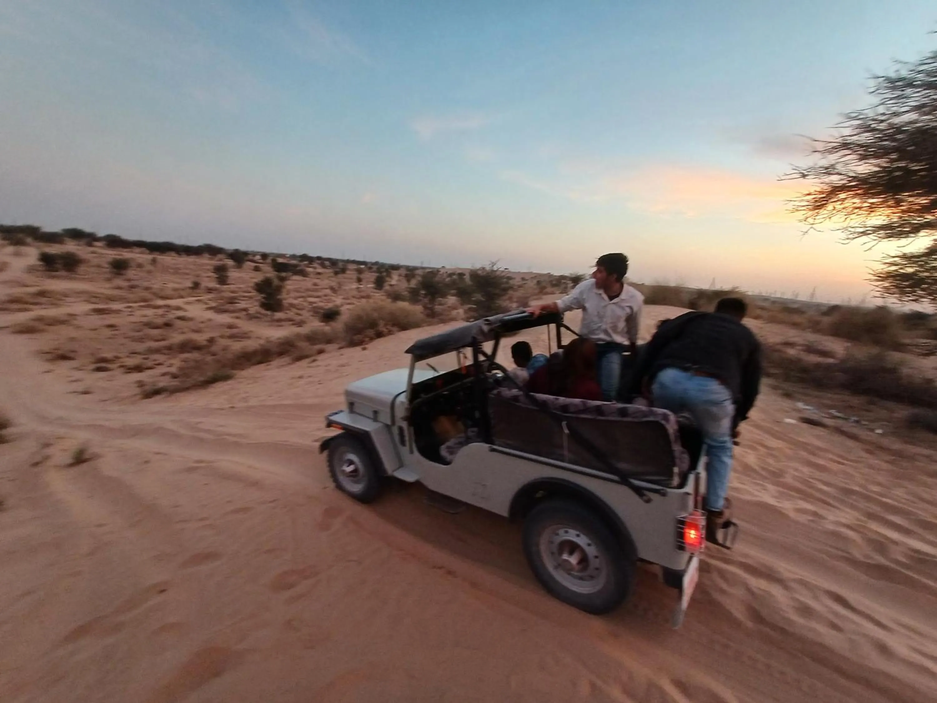 Activities in Bikaner Desert Camp and Resort