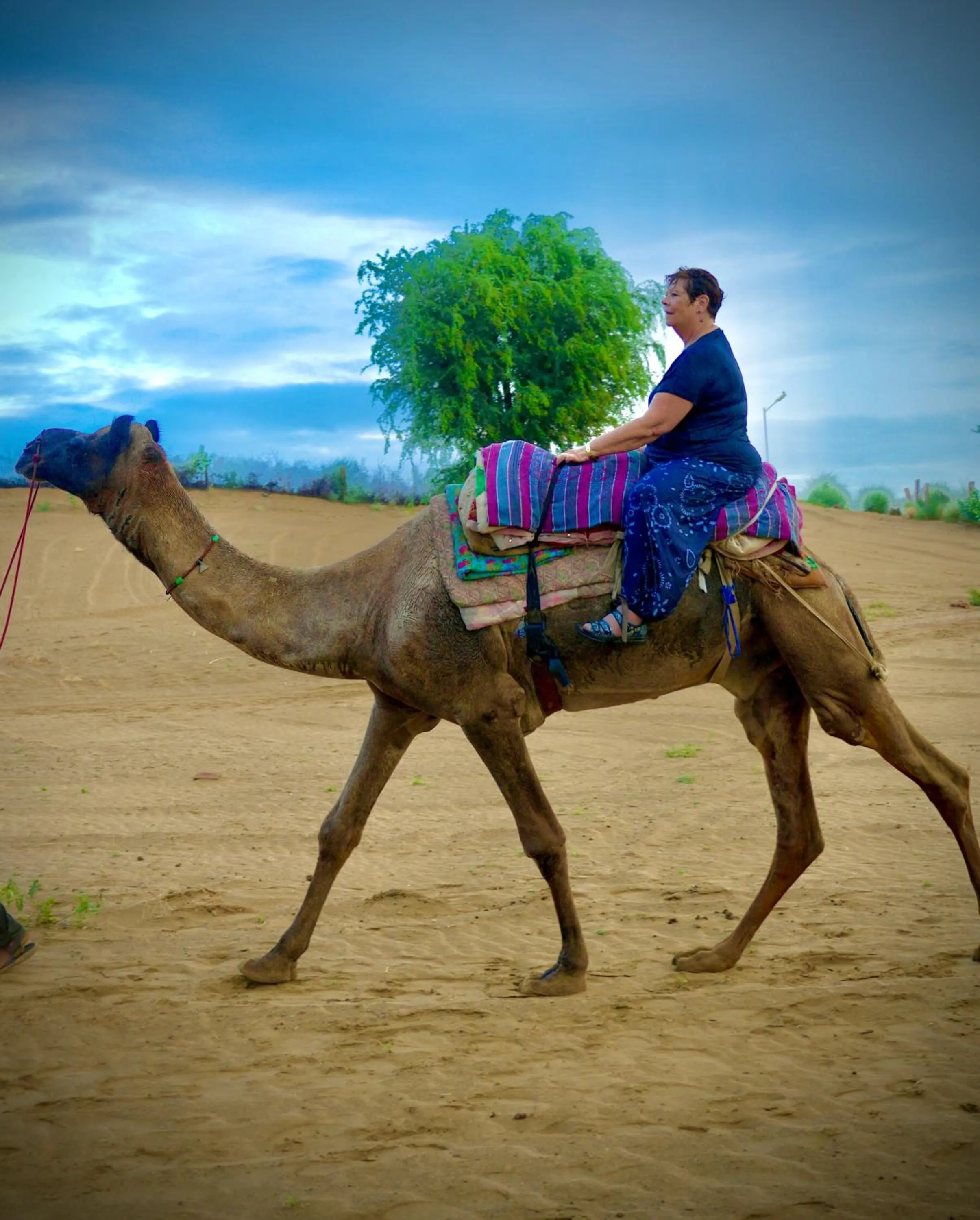 Day in Bikaner Desert Camp and Resort