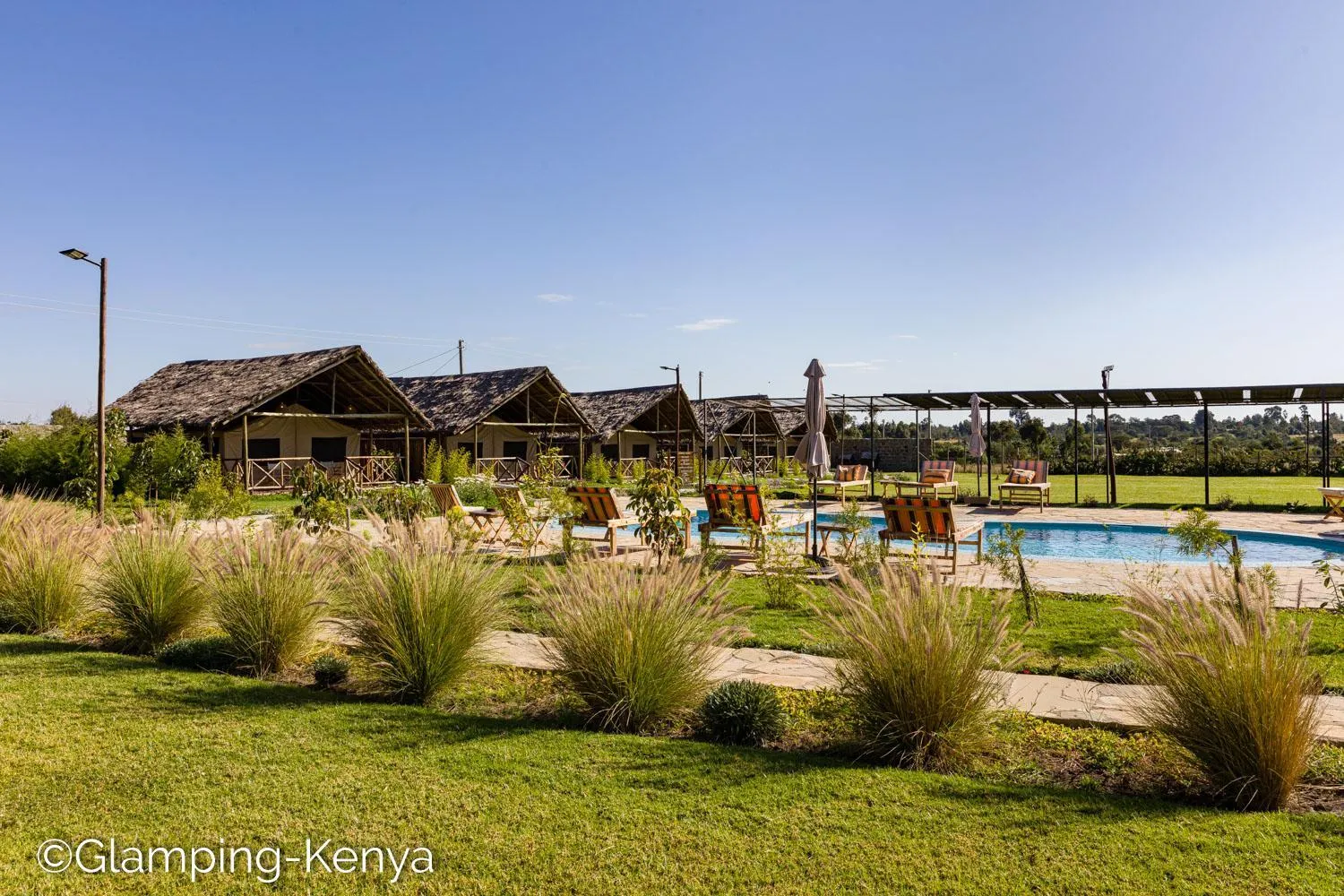 Swimming pool in Glamping Kenya Mount Kenya Lodge Nanyuki