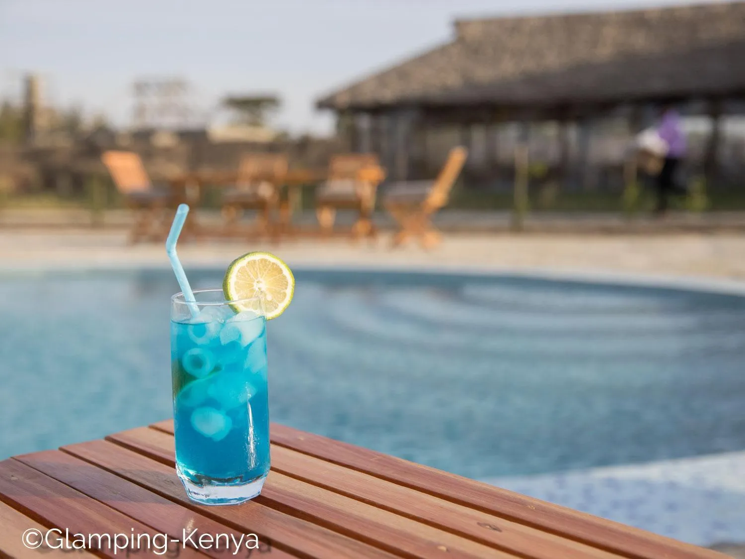 Lounge or bar in Glamping Kenya Mount Kenya Lodge Nanyuki