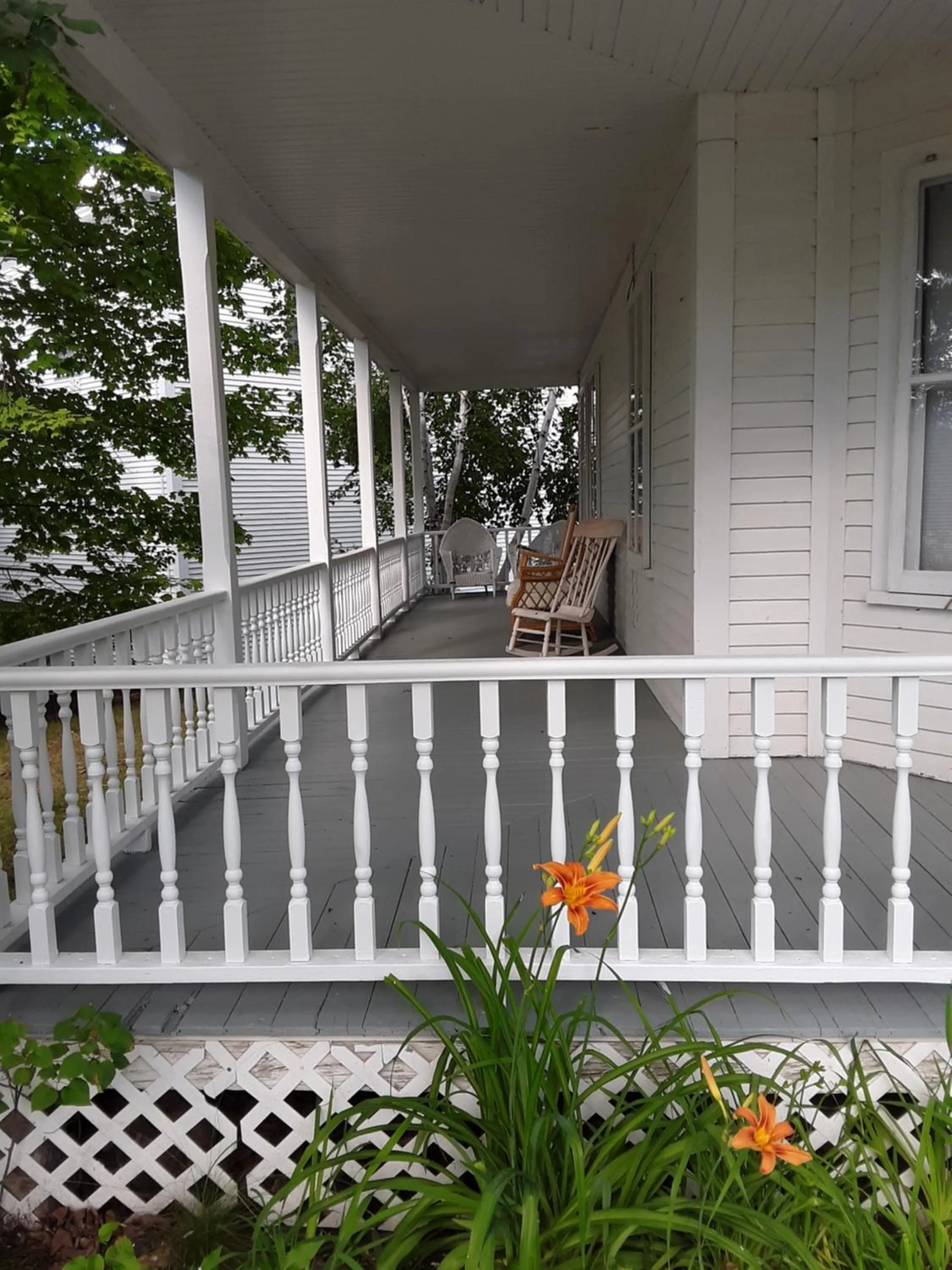 Patio in Terrapin Hostel