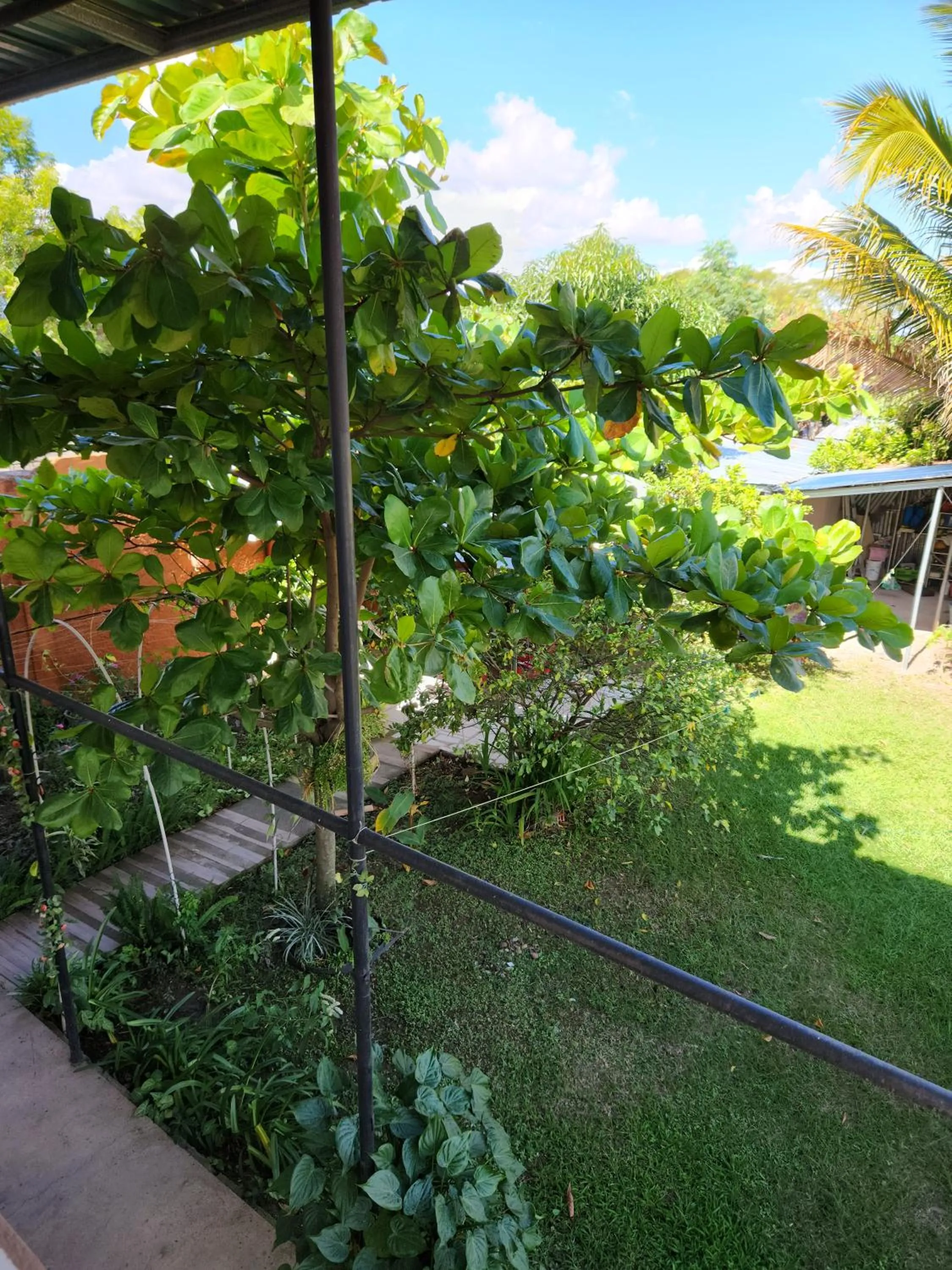 Garden in Aparta Hotel Palmerola