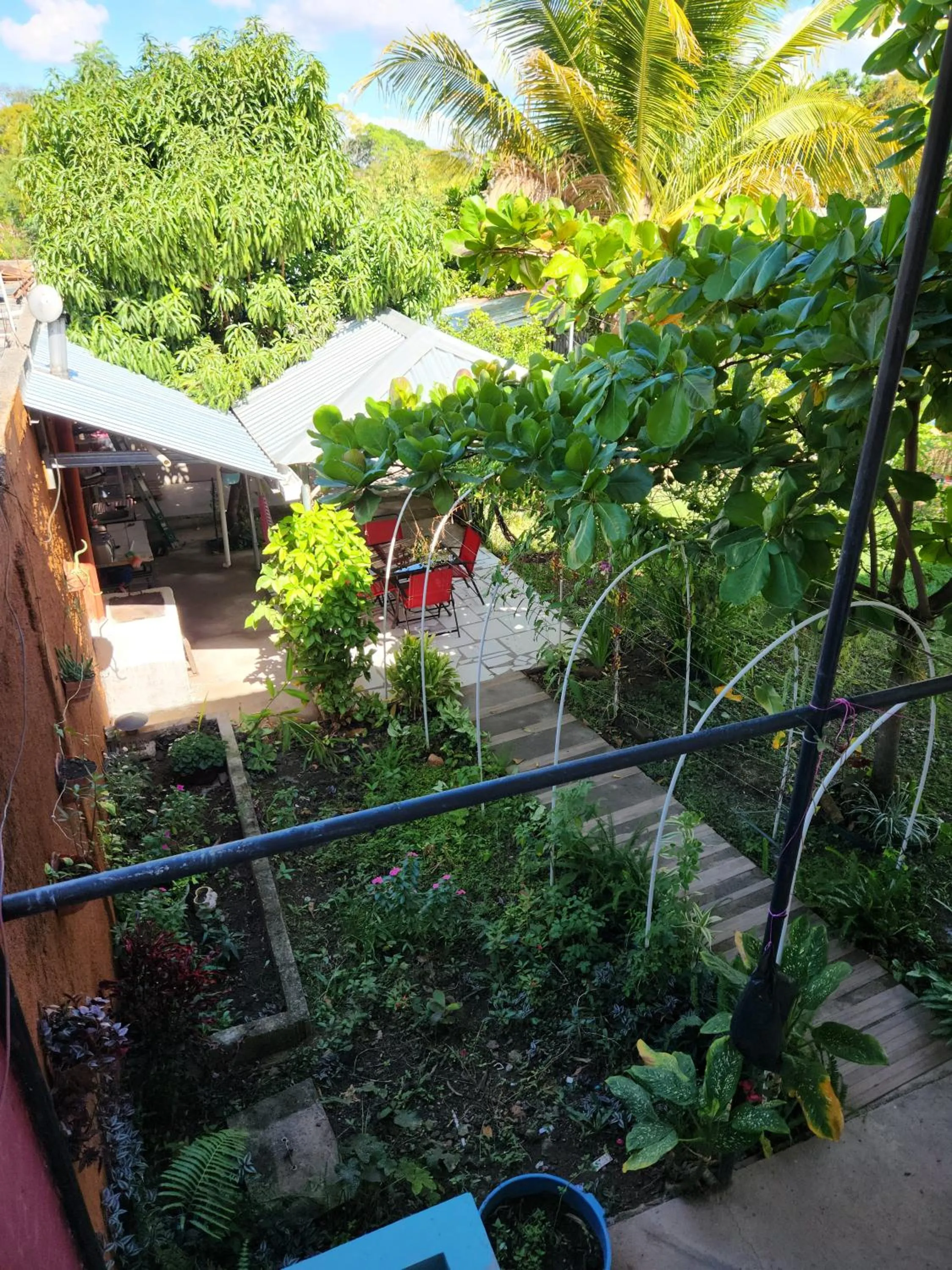 Garden in Aparta Hotel Palmerola