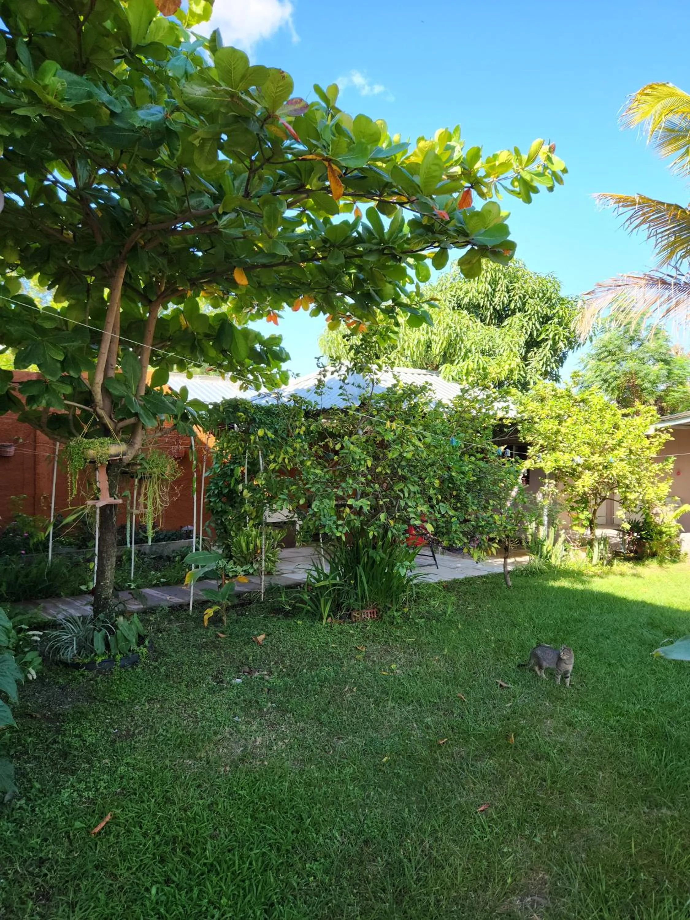 BBQ facilities in Aparta Hotel Palmerola