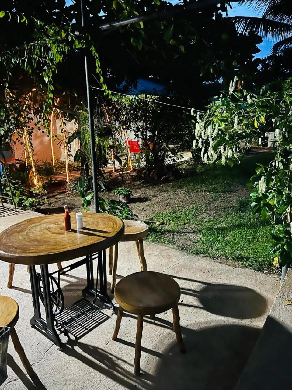 Restaurant/places to eat in Aparta Hotel Palmerola