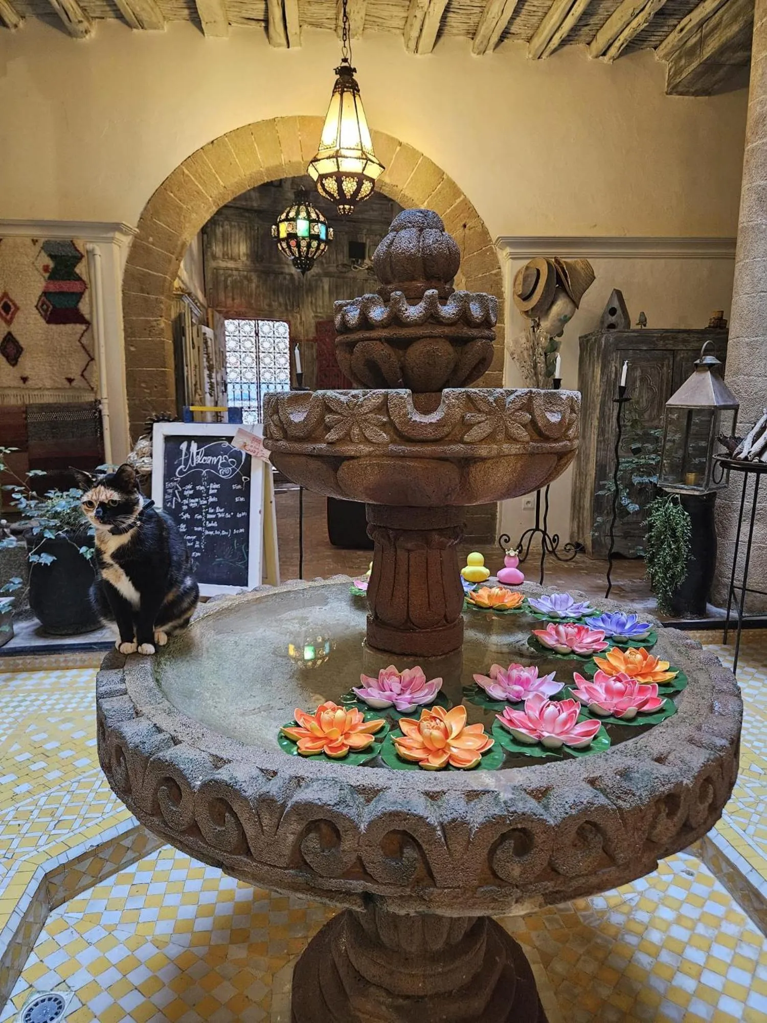 Property building in Les Terrasses d'Essaouira - Yoga Studio