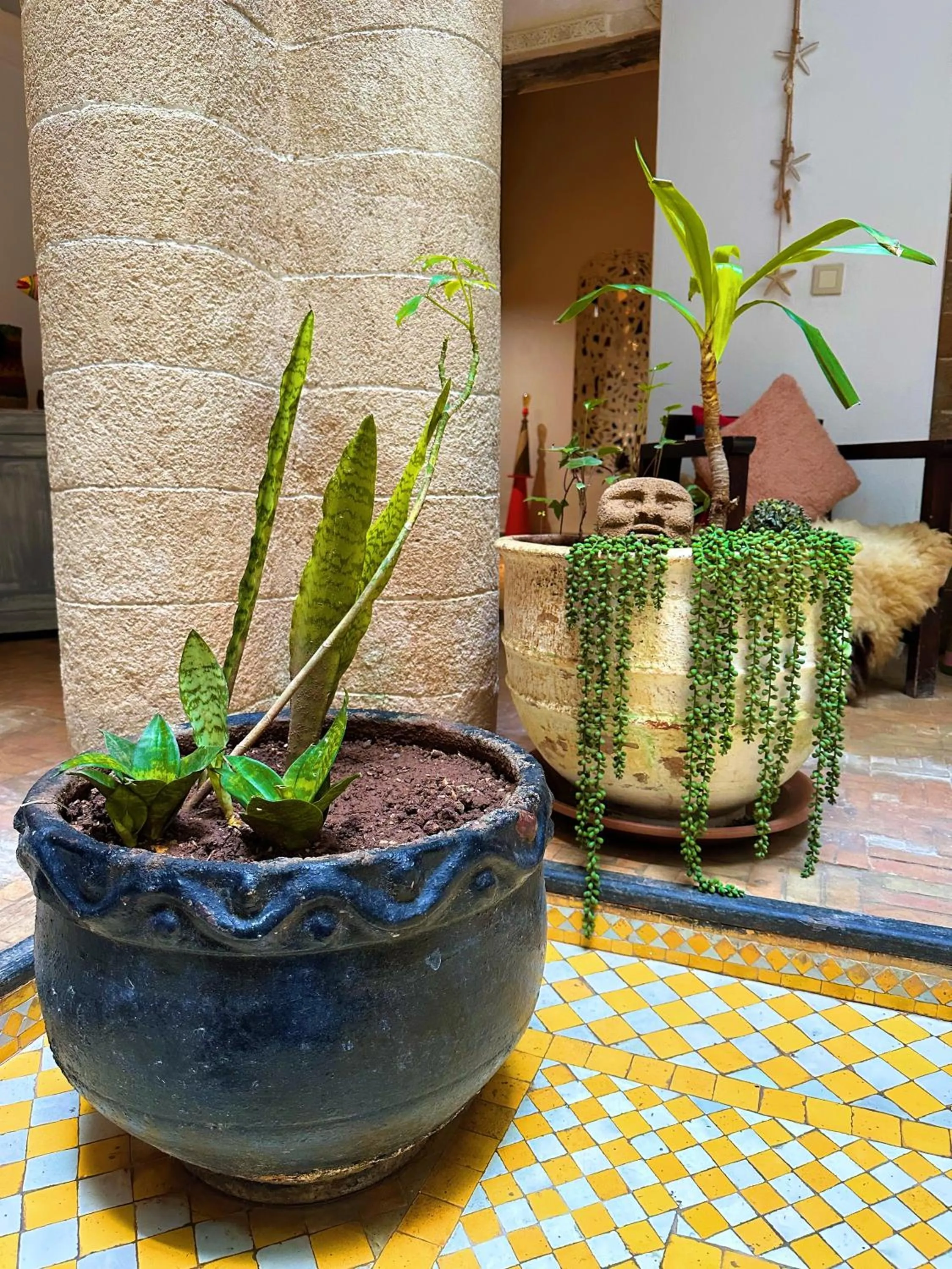 Garden in Les Terrasses d'Essaouira - Yoga Studio