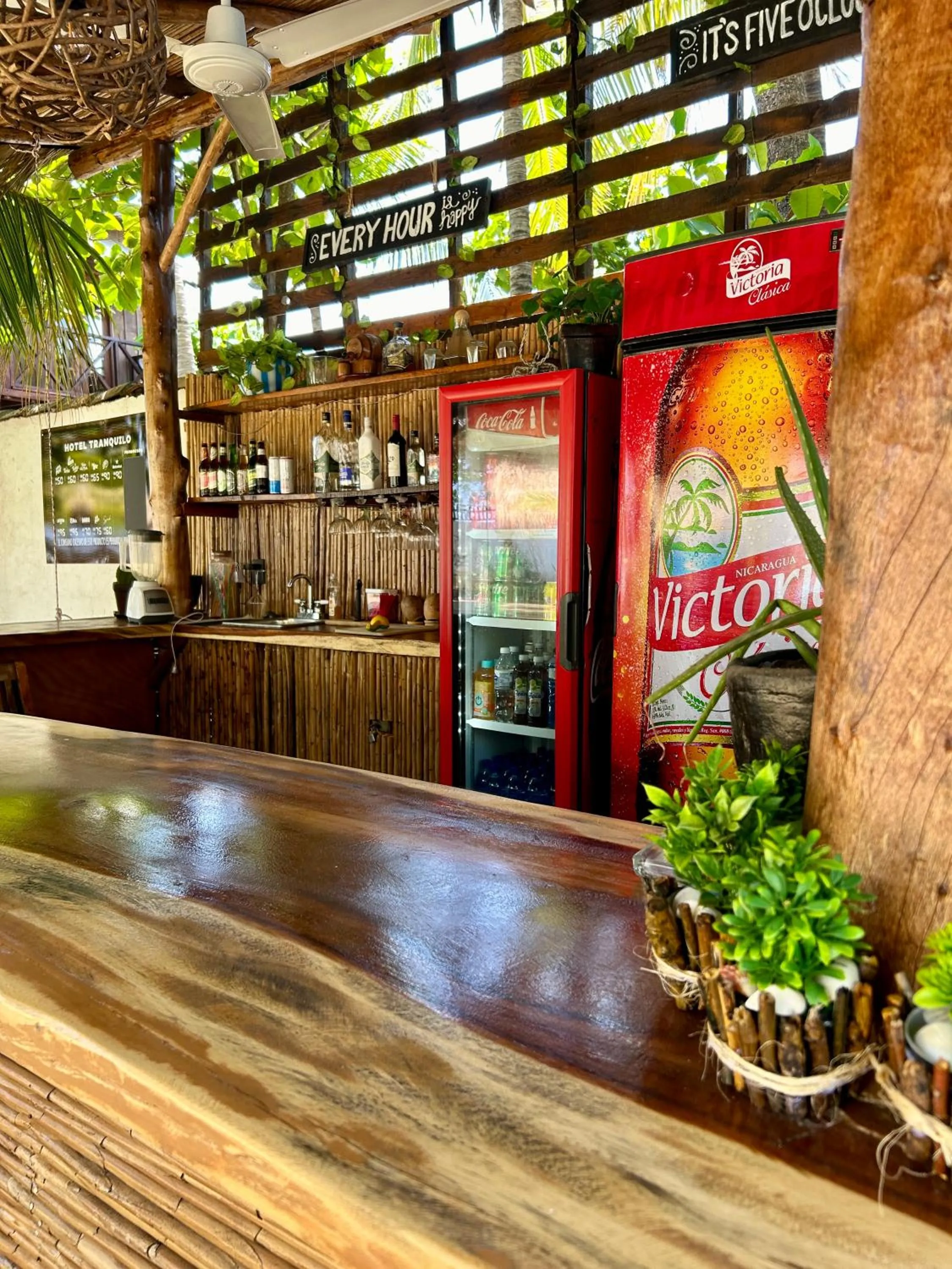 Lounge or bar in Hotel Tranquilo