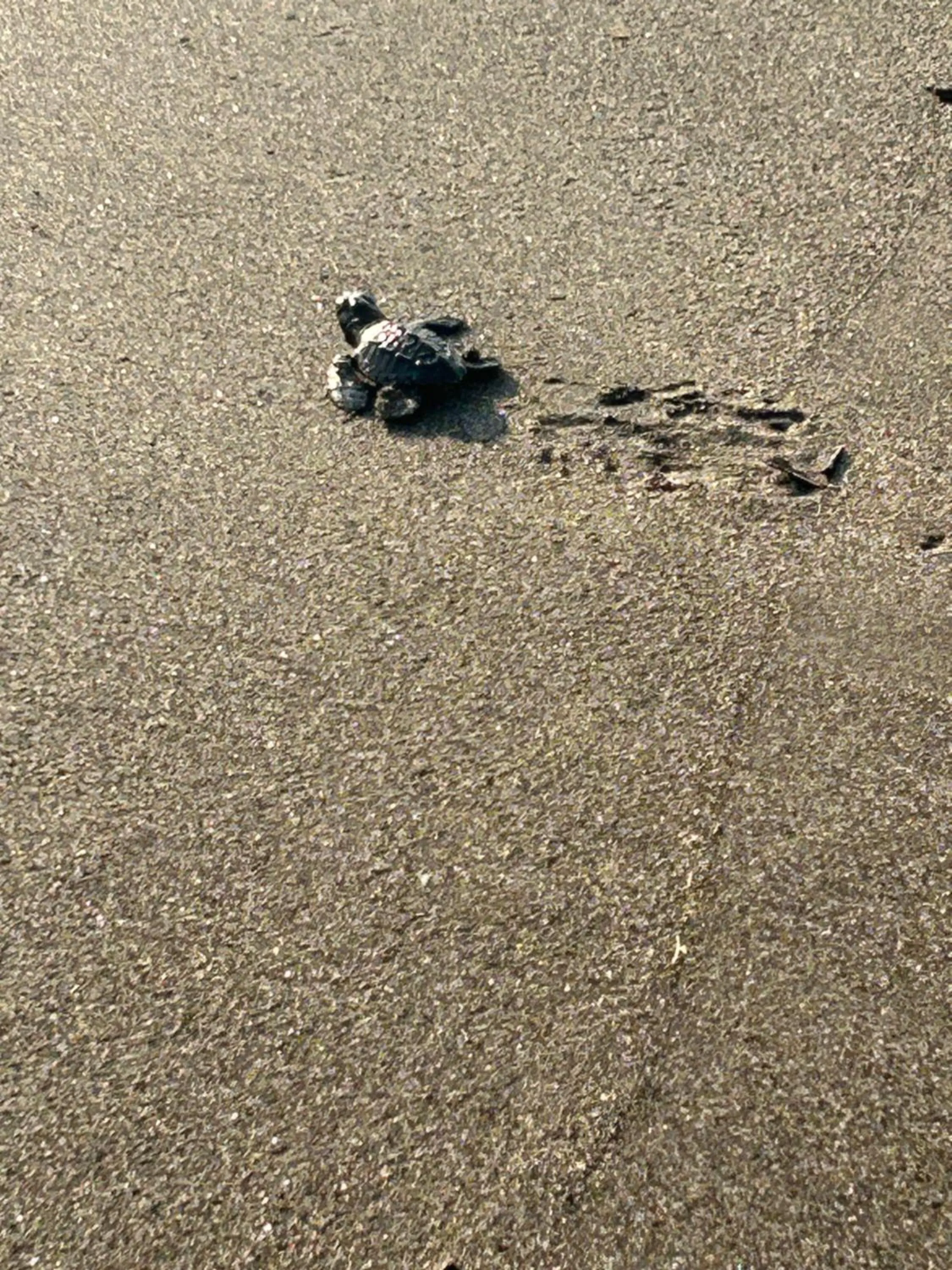 Activities in Hotel Tranquilo