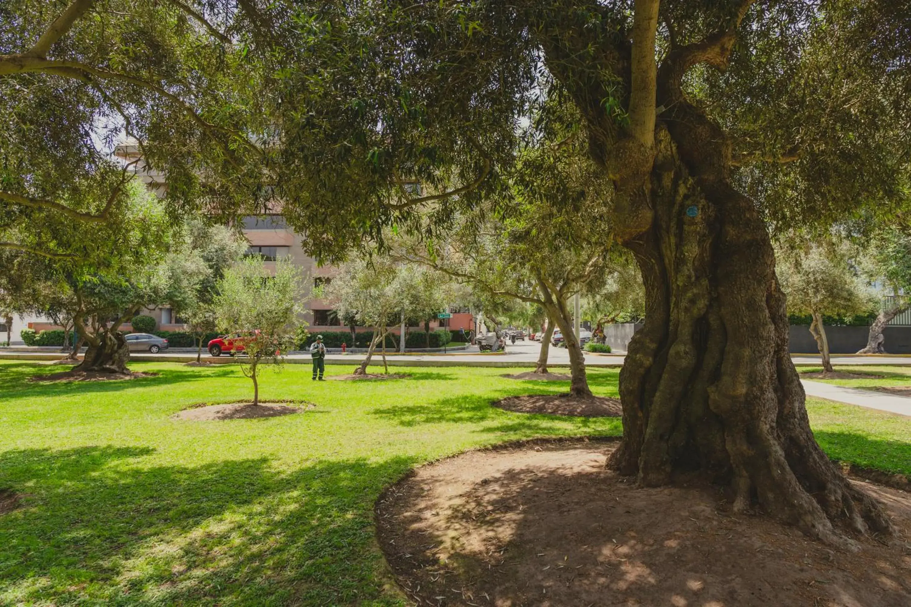 Garden view in ARTE HOTEL Lima Garden view in ARTE HOTEL Lima