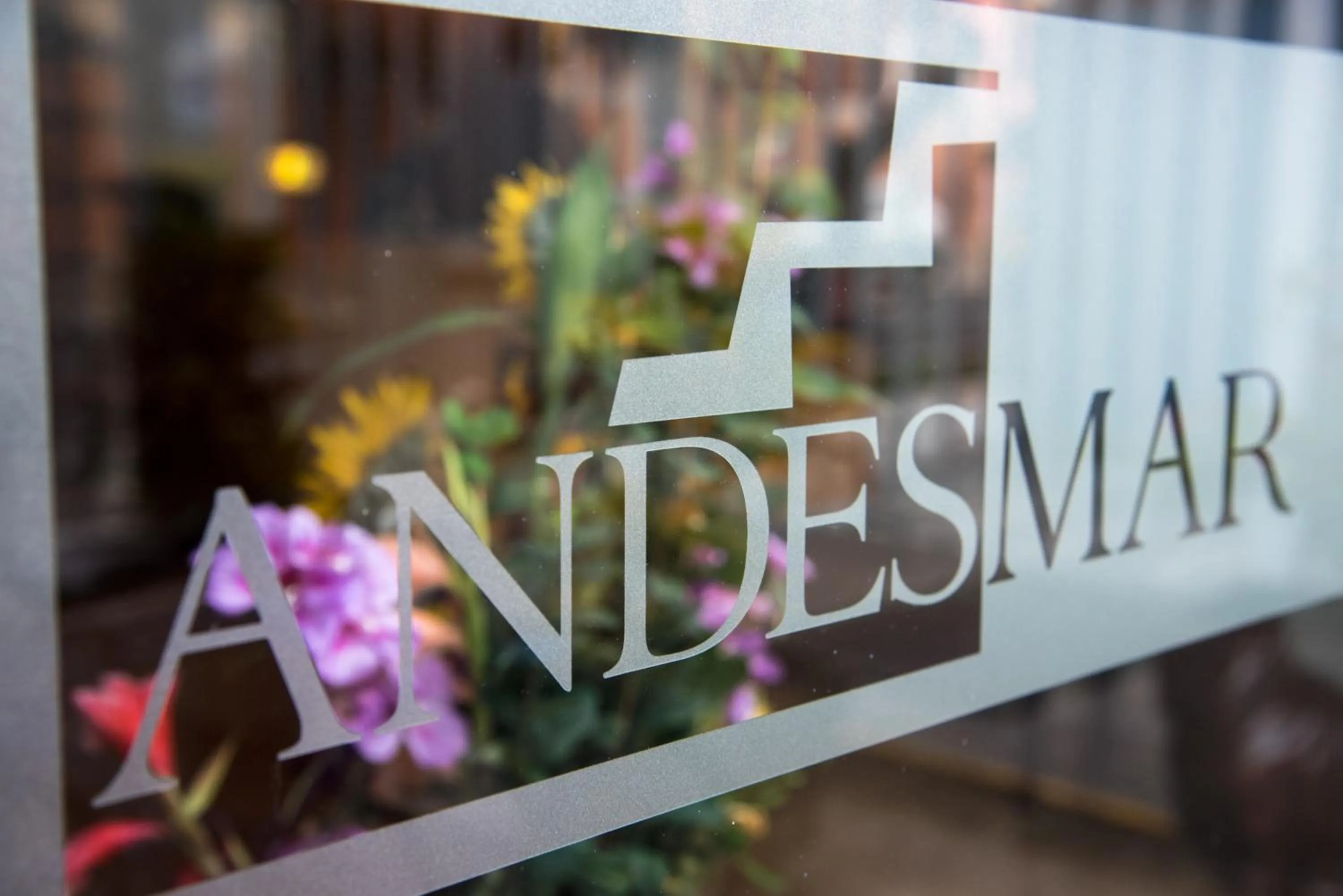 Property logo or sign in Hotel Andesmar