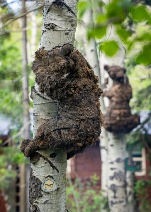 Desolation Hotel Hope Valley