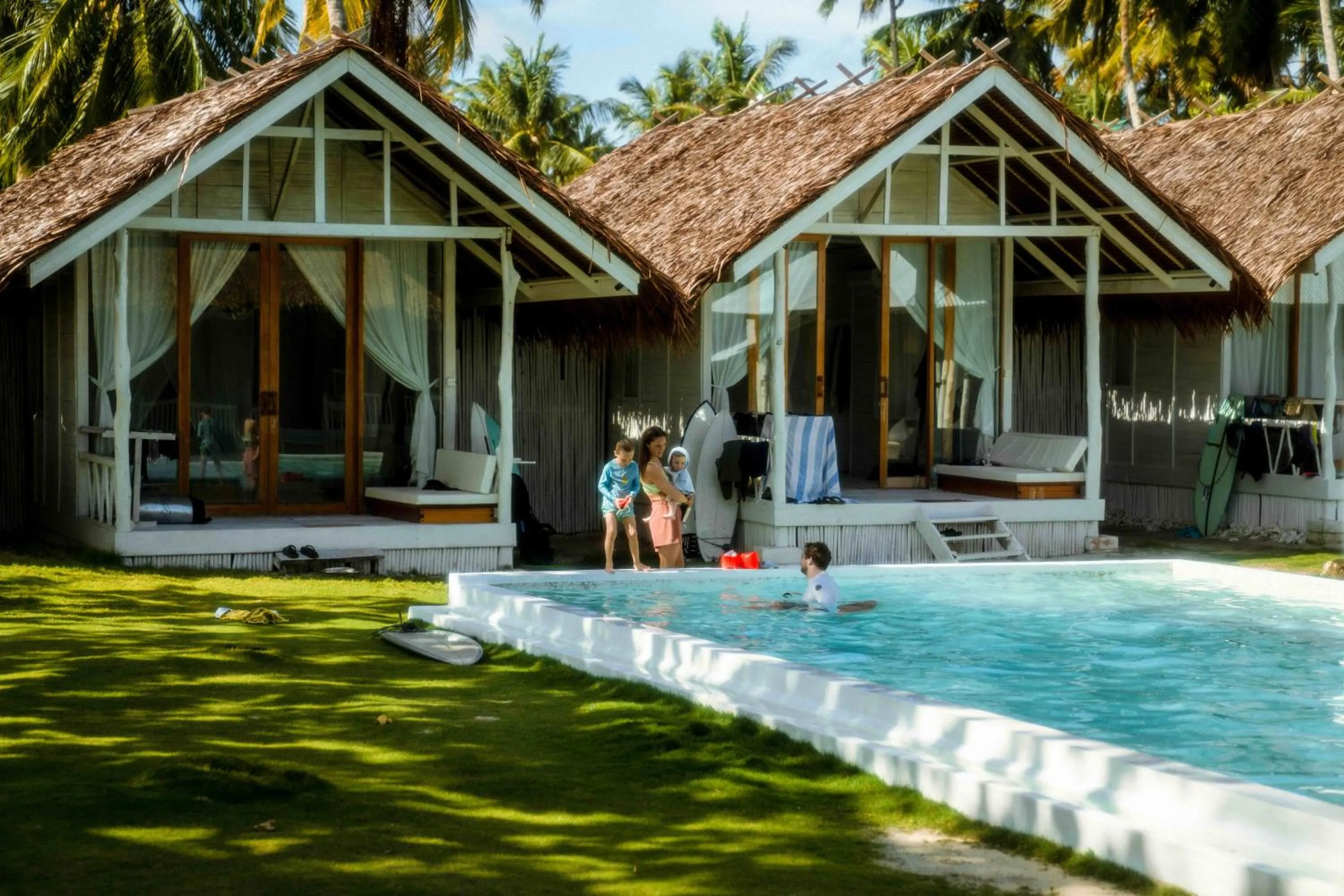 La Belle Hollow Trees