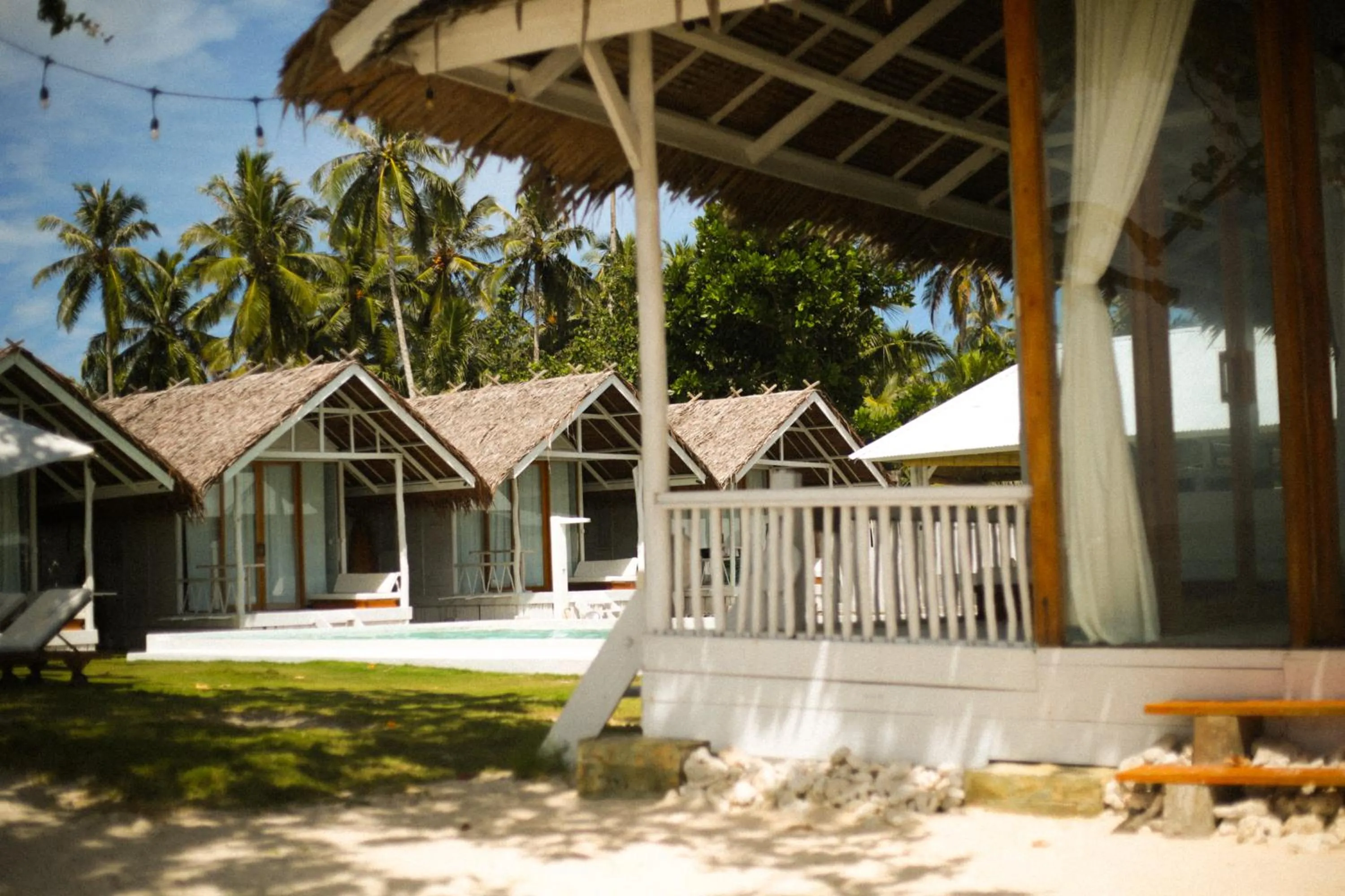 La Belle Hollow Trees