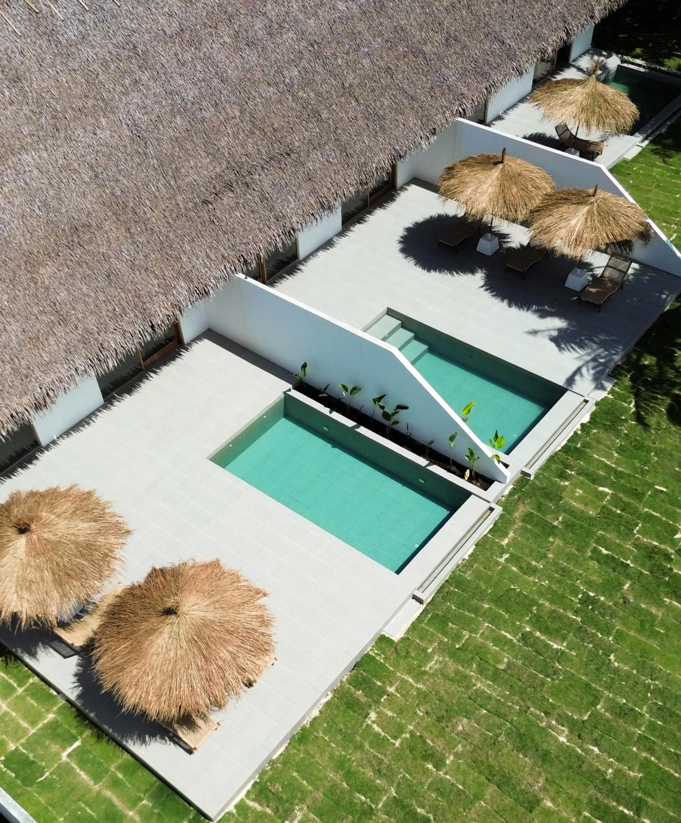 La Belle Hollow Trees