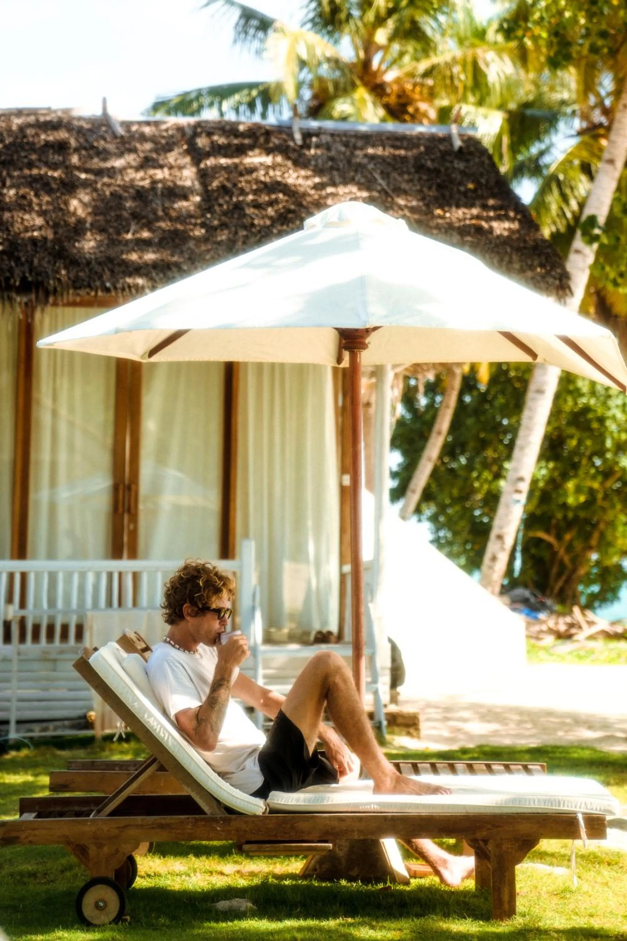 La Belle Hollow Trees