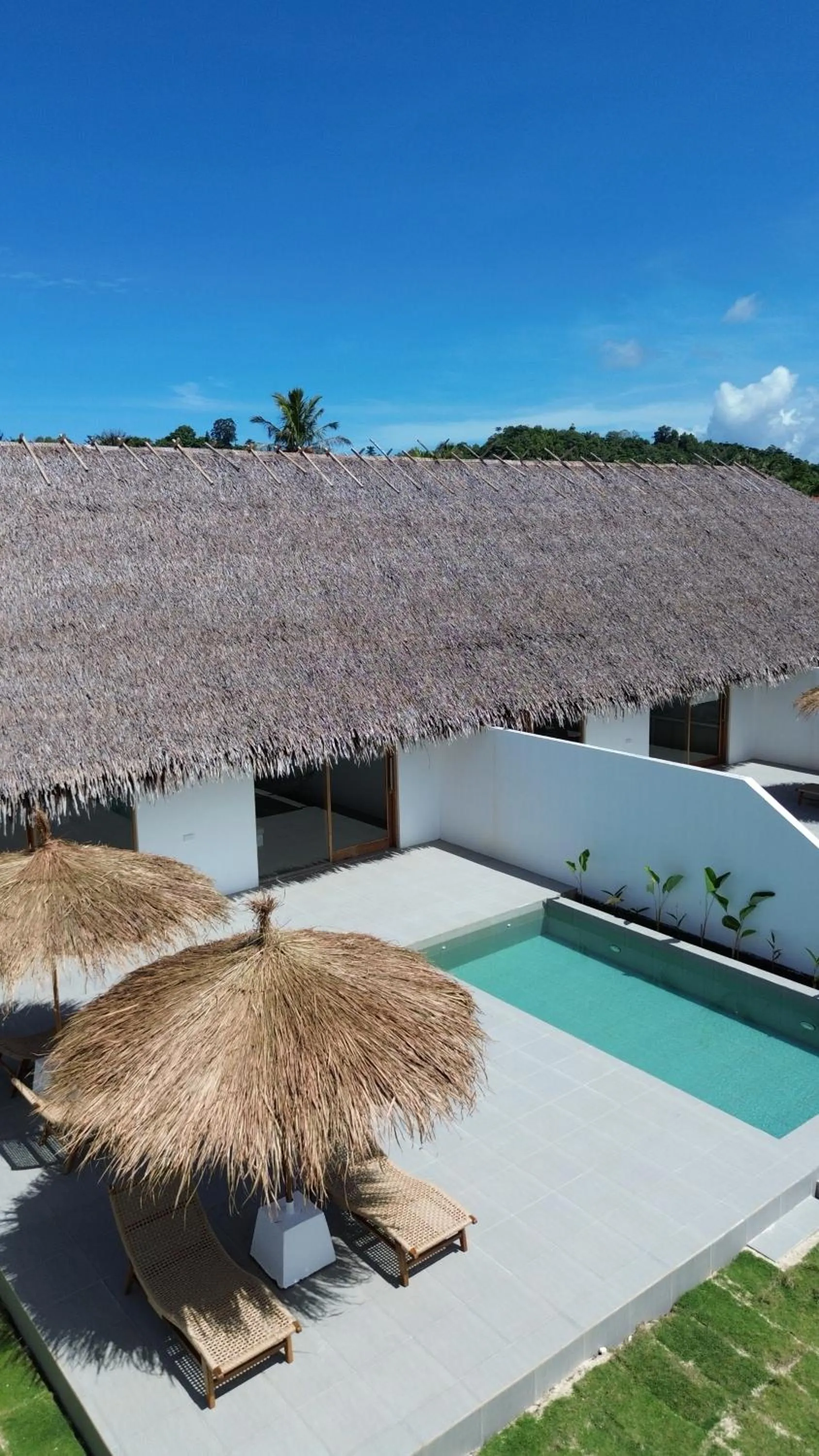 La Belle Hollow Trees