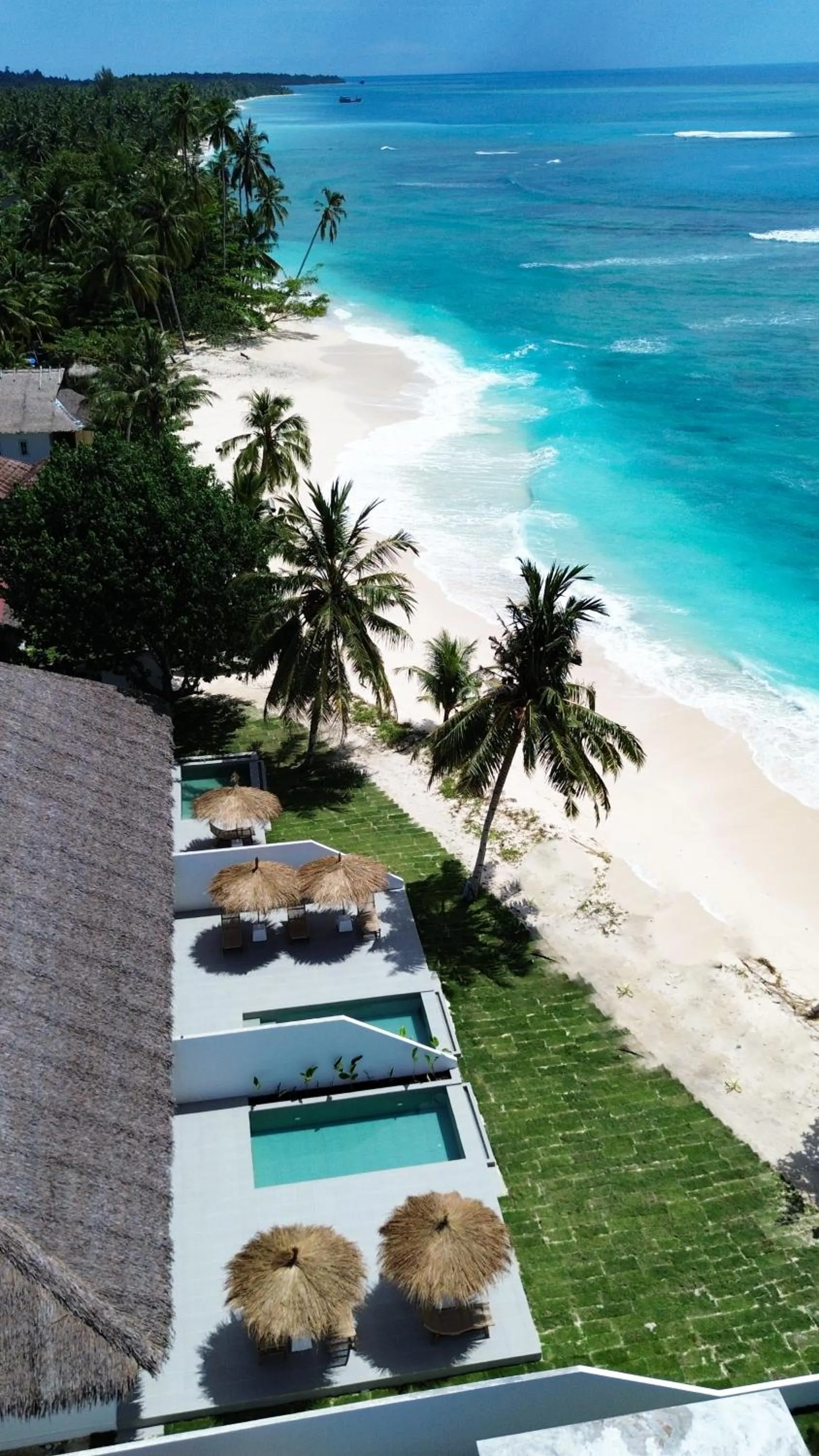 La Belle Hollow Trees