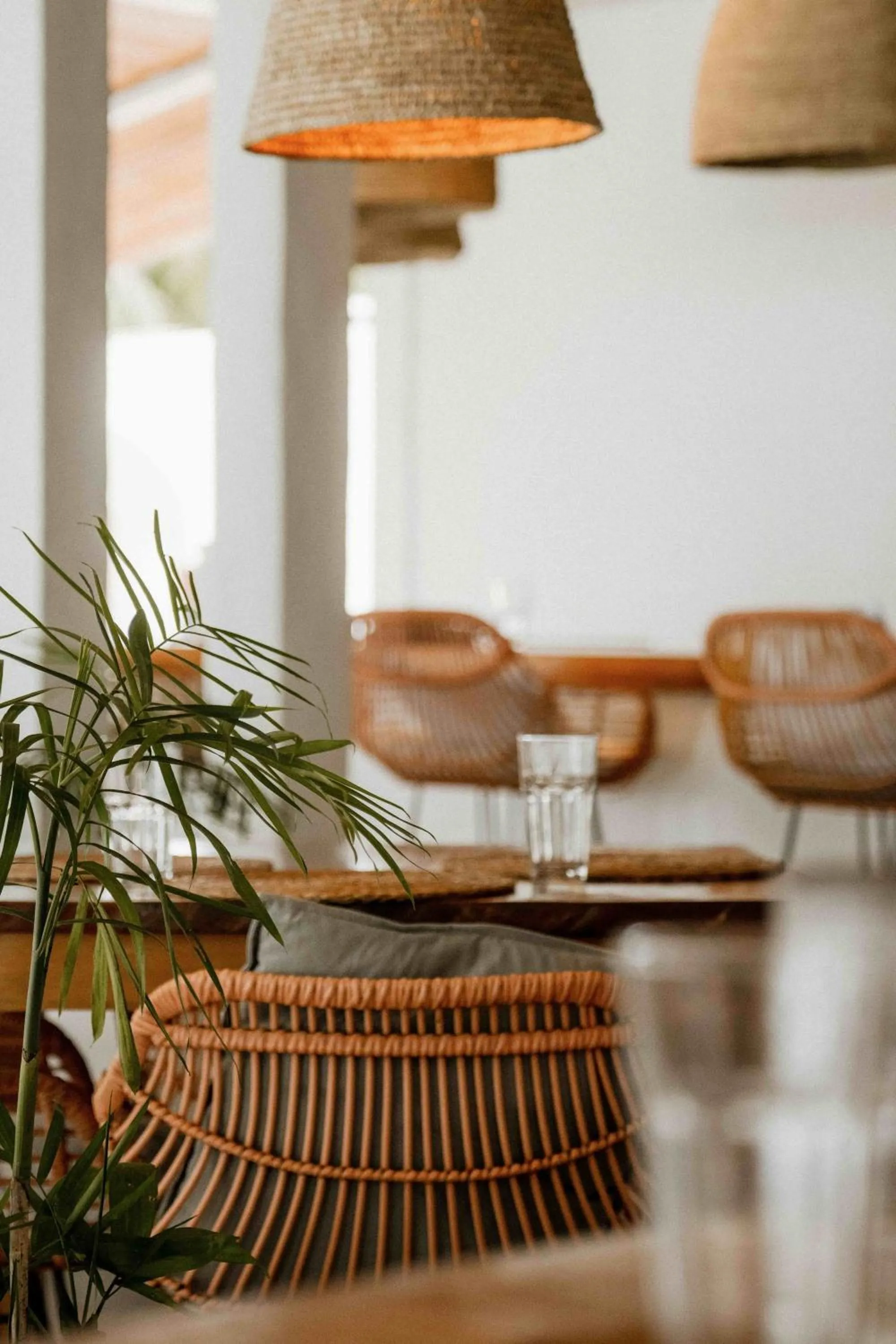 La Belle Hollow Trees