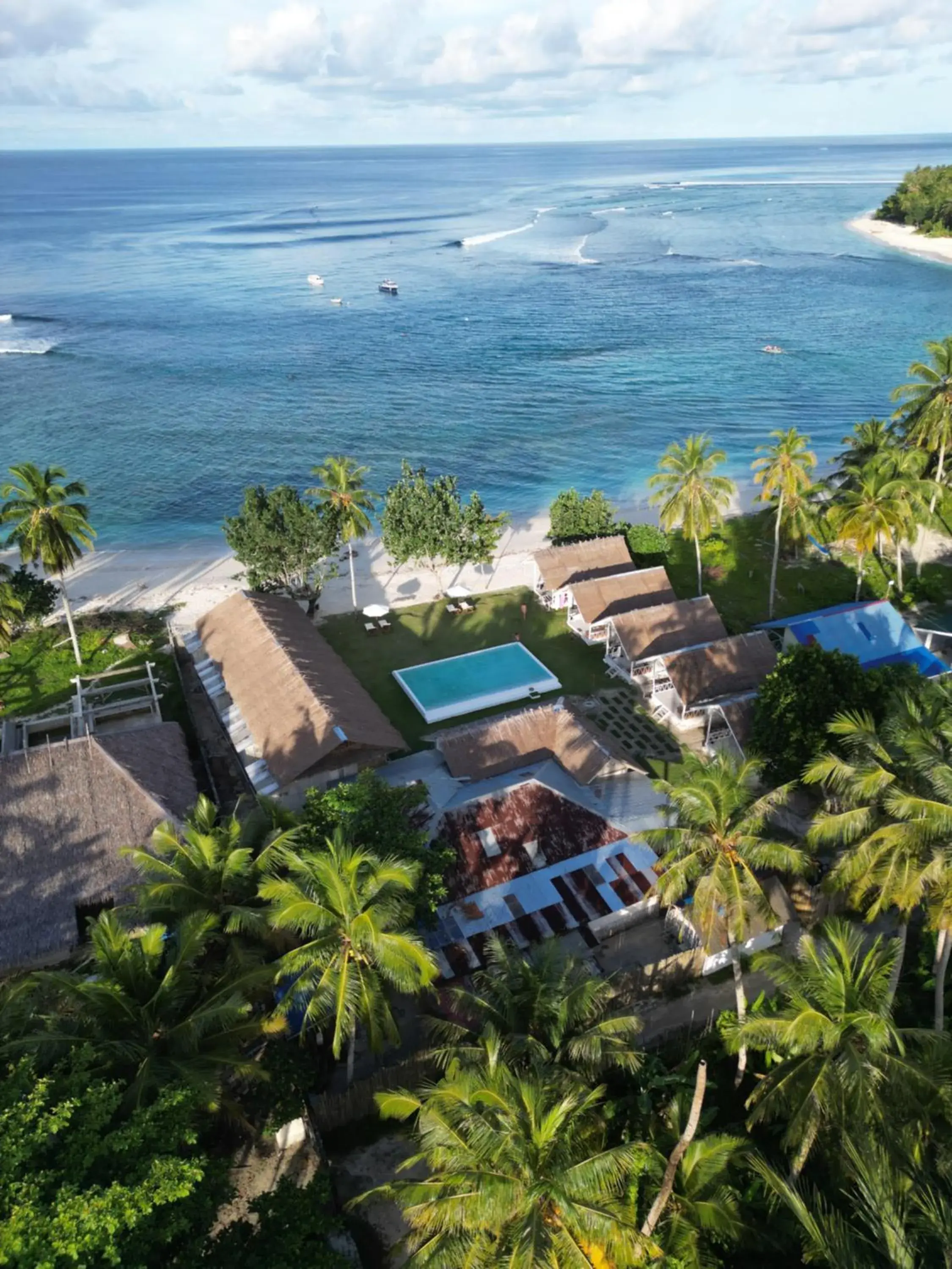 La Belle Hollow Trees La Belle Hollow Trees